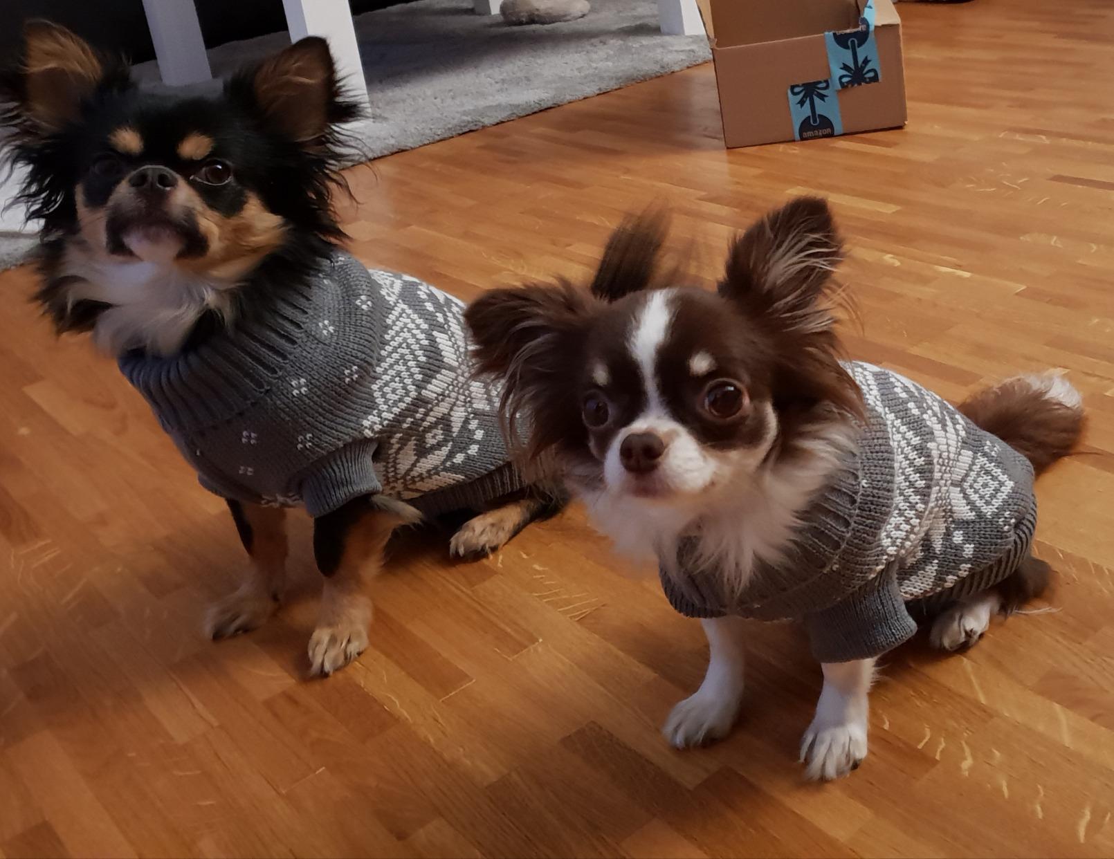 Adorable et bien chaud