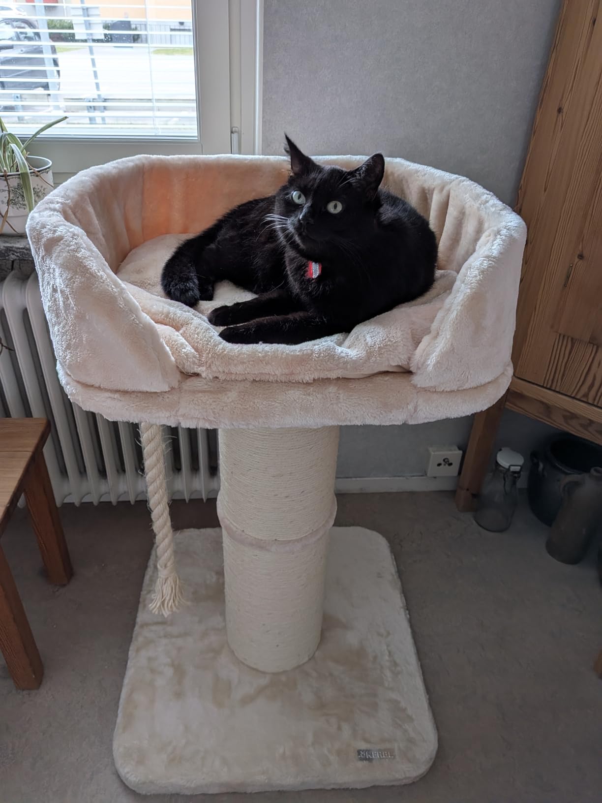 Montage facile, chat heureux