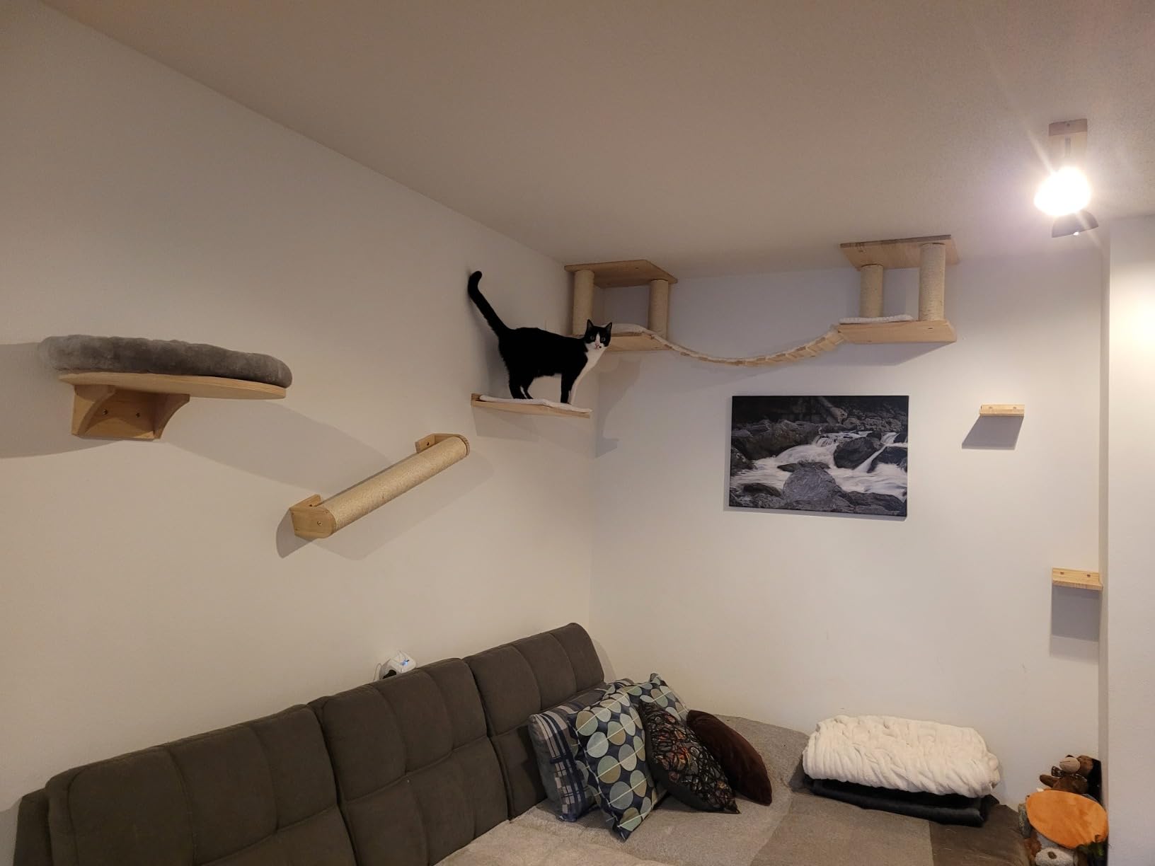 Fini le canapé griffé