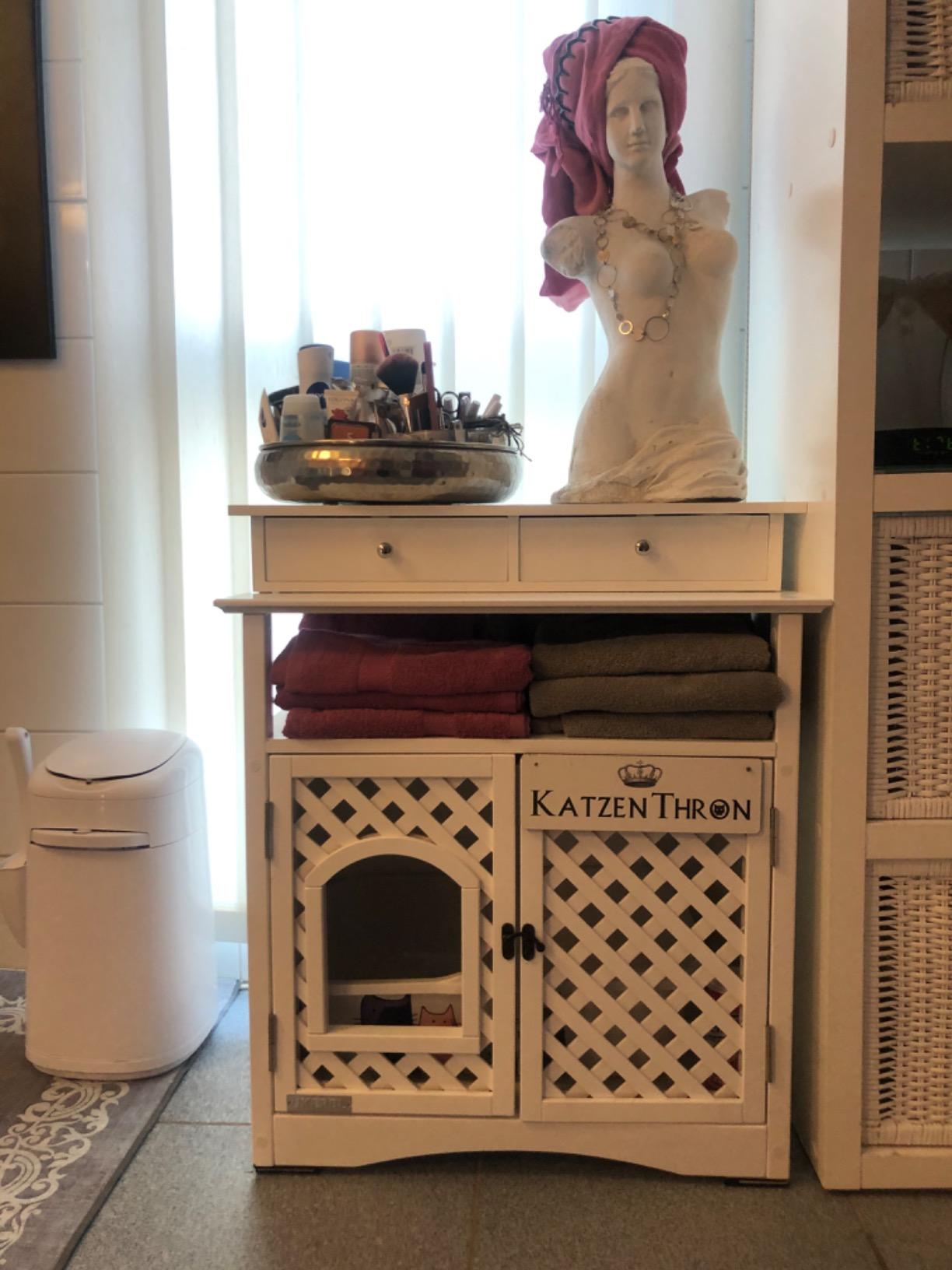 Fini la litière qui traîne au salon