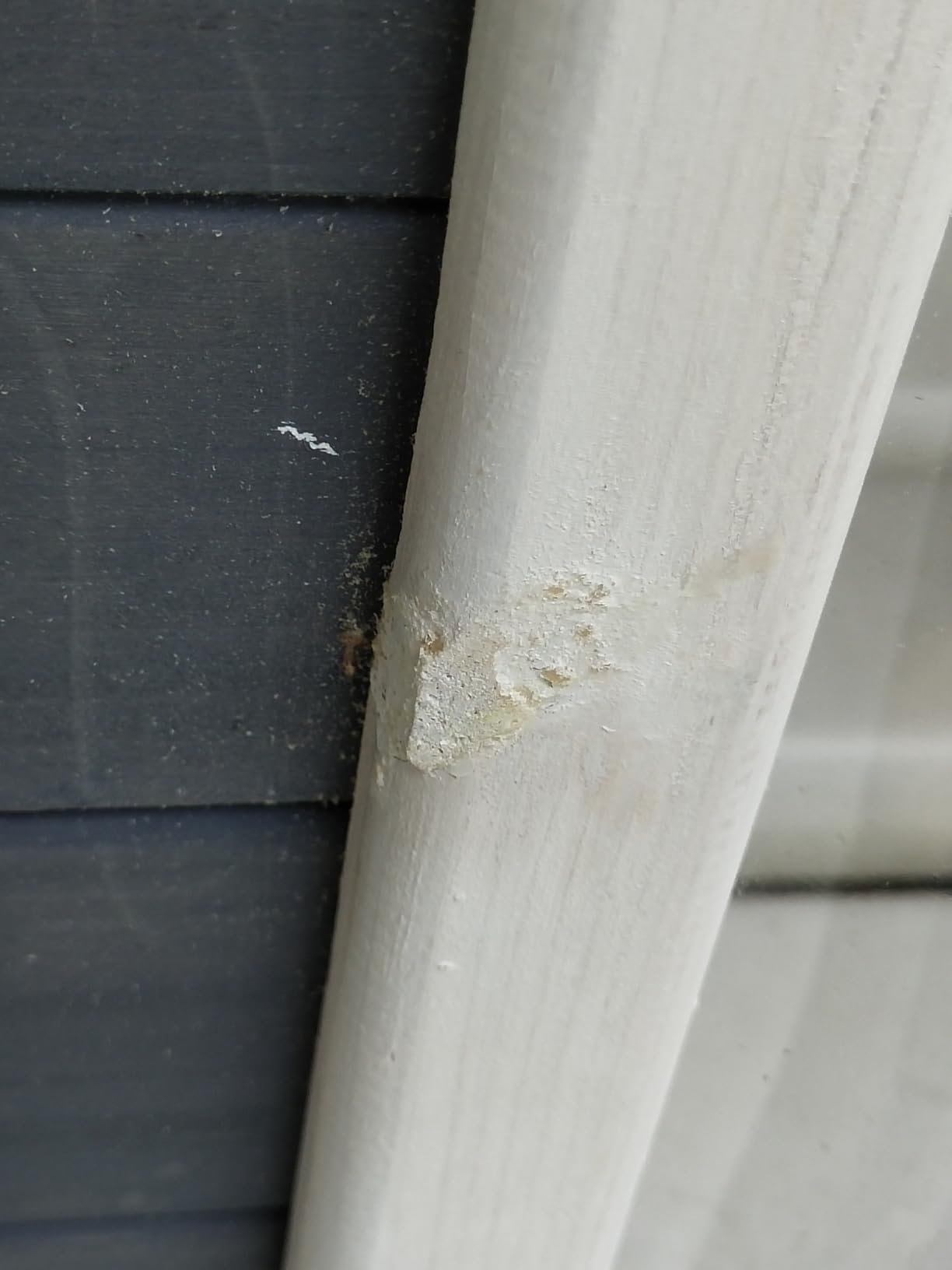 Bien mais peinture fragile