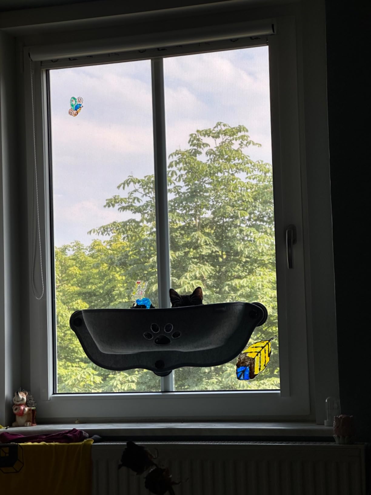 Mon chat ne le quitte plus