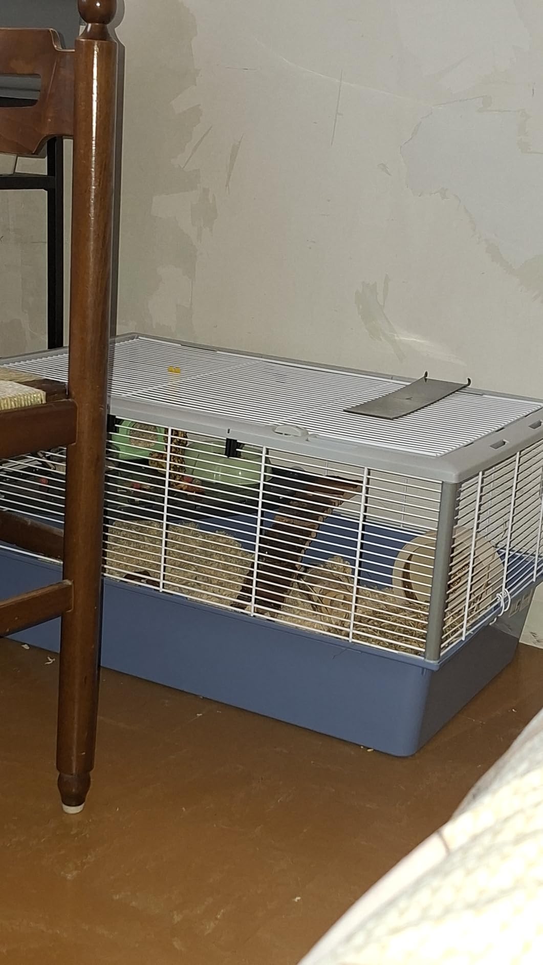 Super cage pour mon hamster