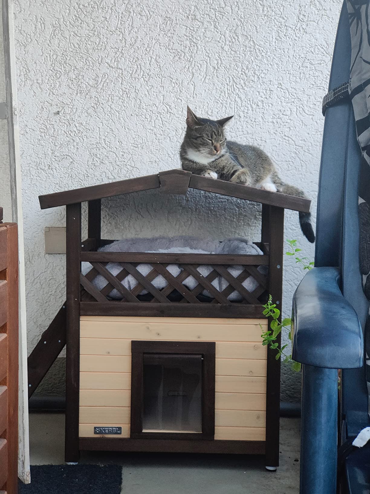 Bien conçue mais toit fragile