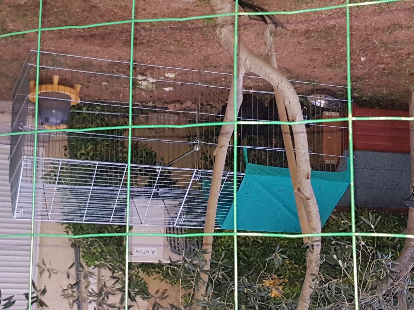 Pratique mais à surveiller