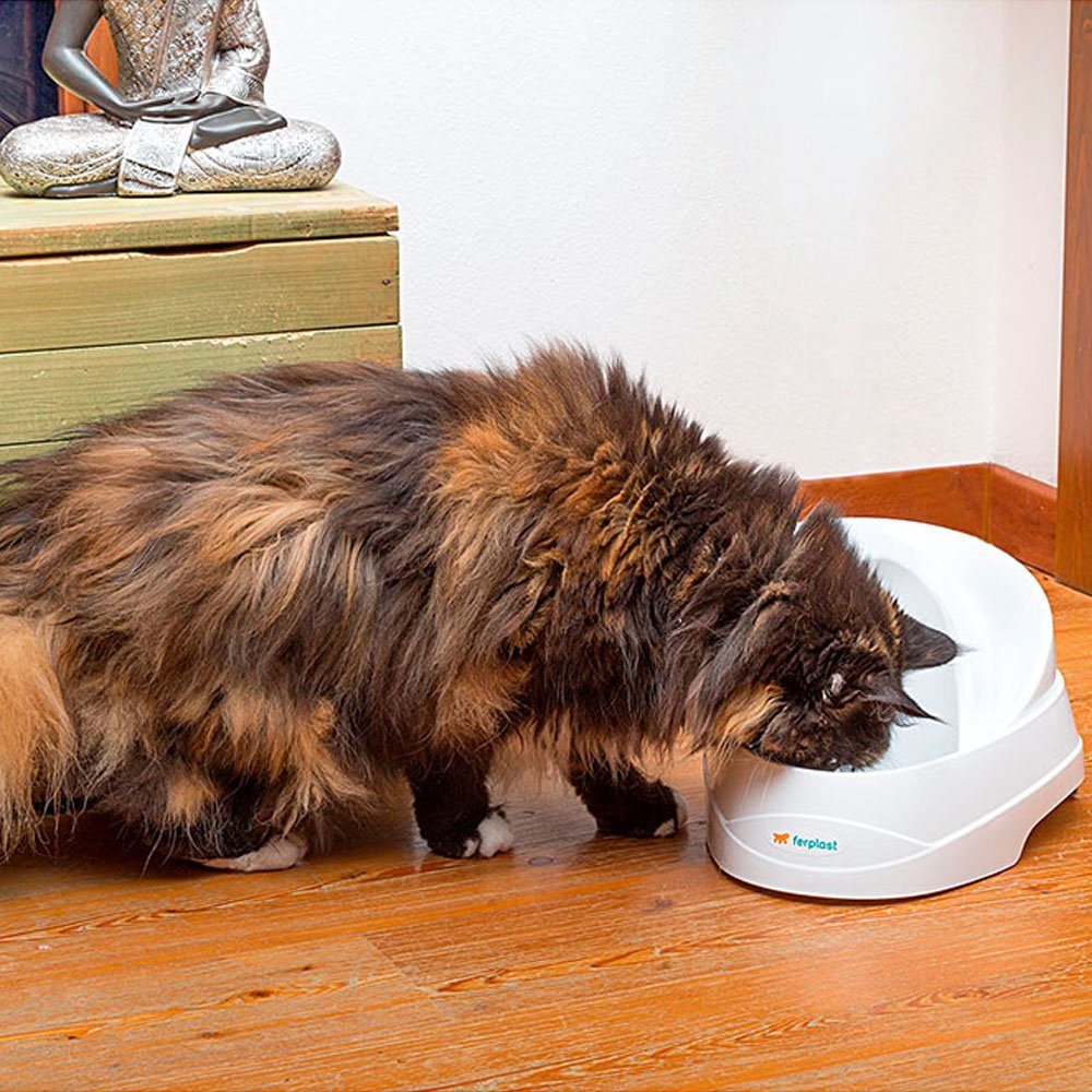 ferplast-vega-fontaine-eau-automatique-pour-chats-et-petits-chiens-2-l-filtre-ch image 5