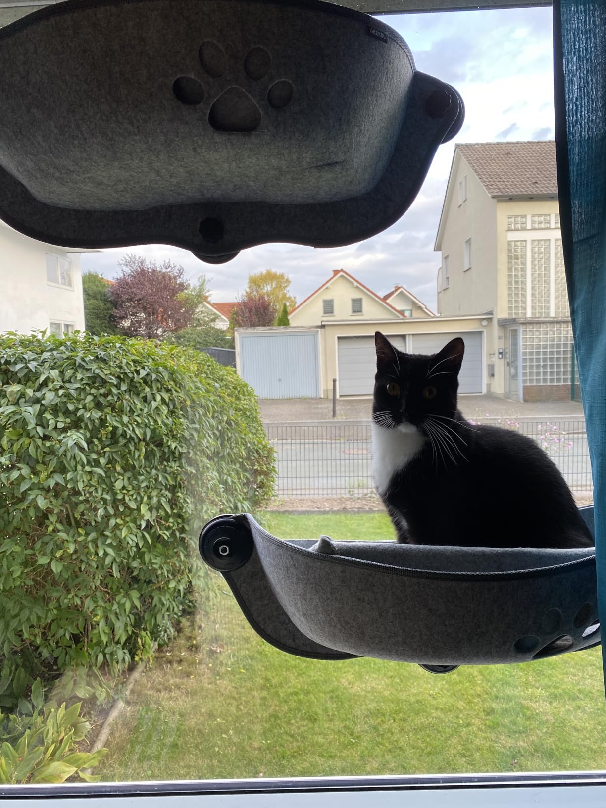Mon ado valide, mon chat aussi