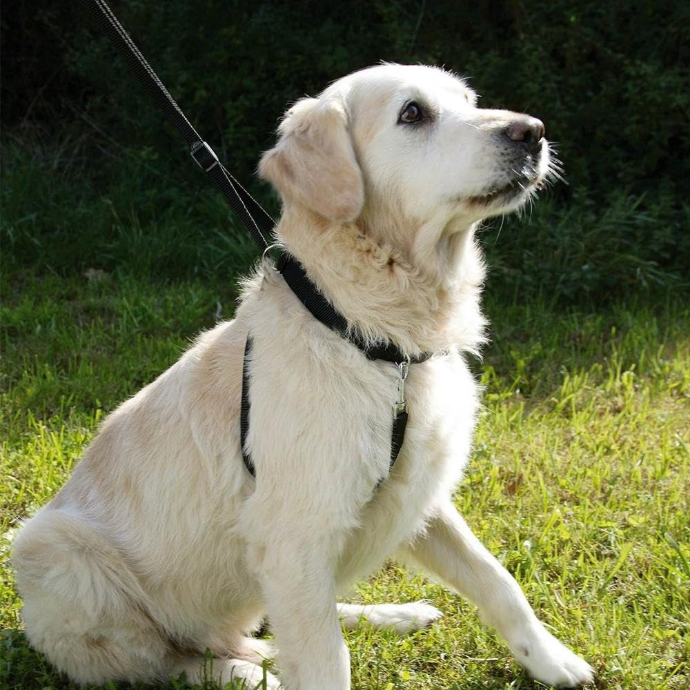 kerbl-maxi-leader-harnais-chien-55-80-cm-noir image 2
