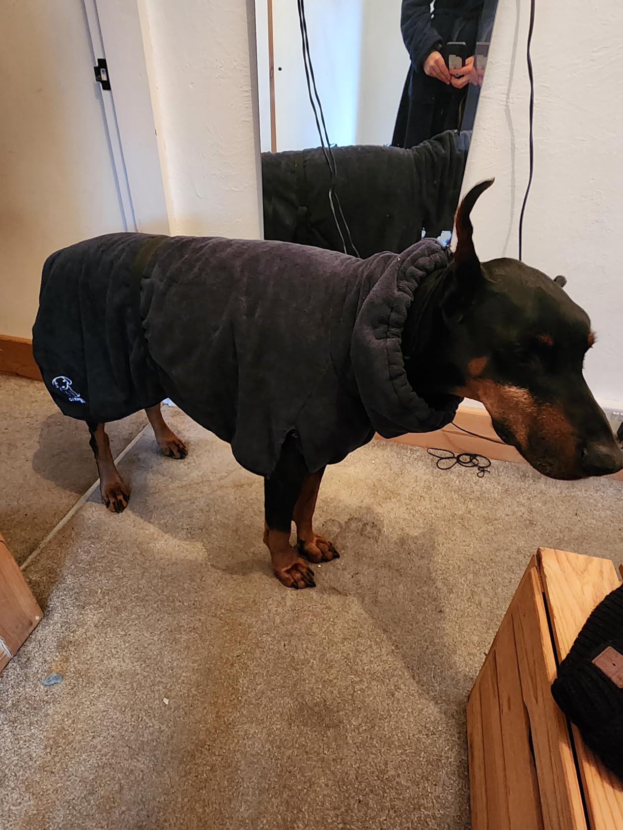 Indispensable après la pluie