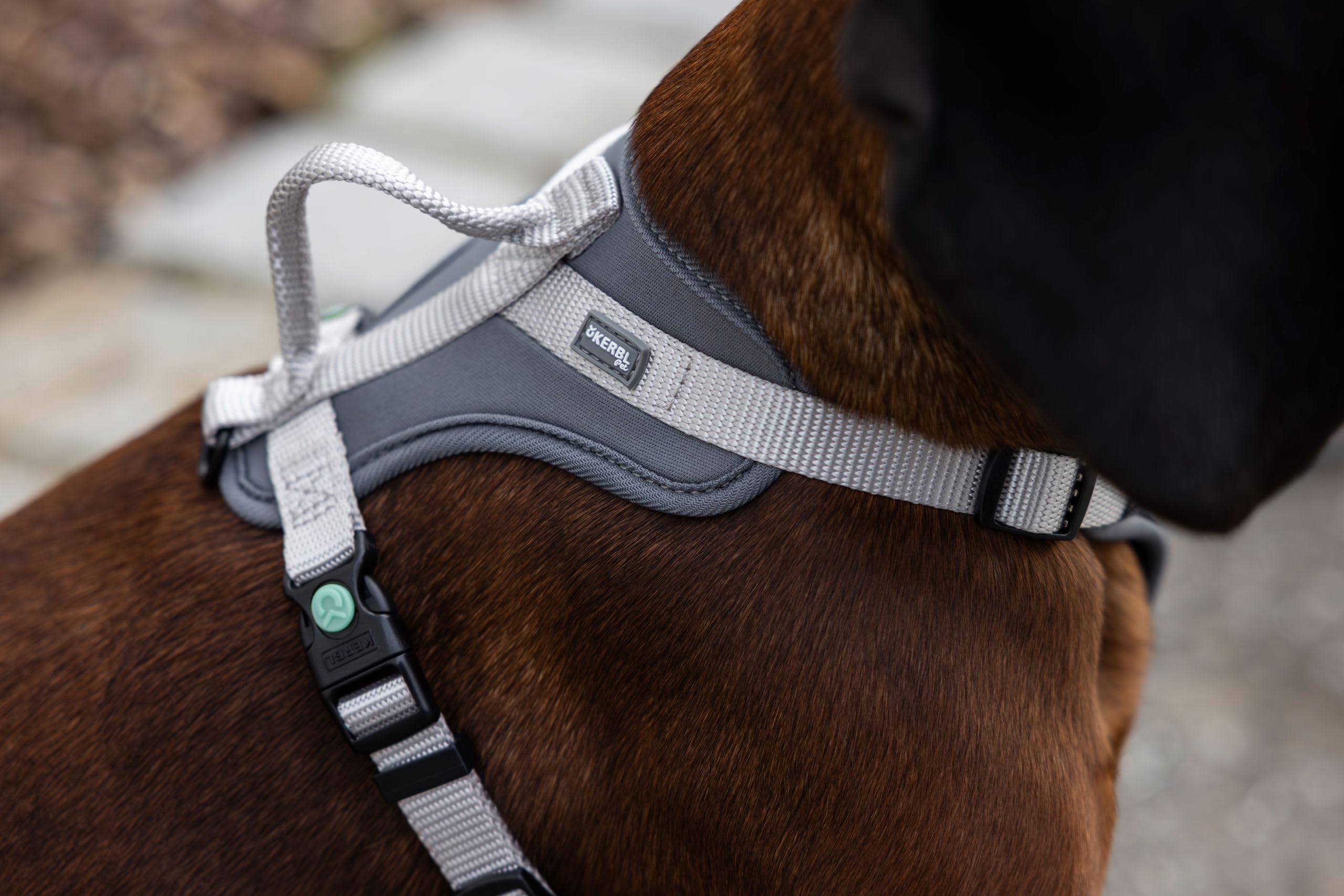 kerbl-pet-fitty-harnais-sportif-en-y-pour-chien-25-mm-x-50-85-cm-gris-beige-nylo image 6