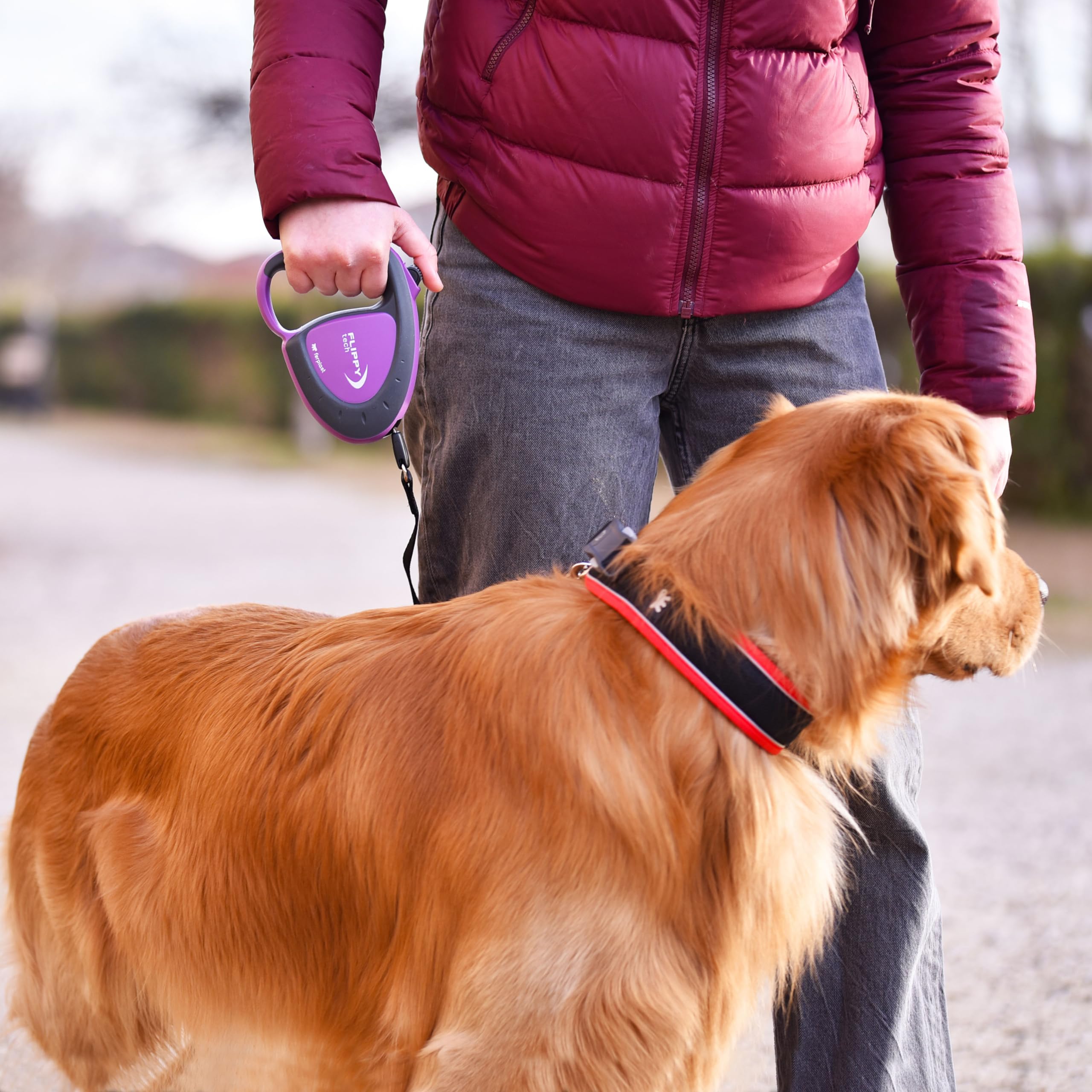 ferplast-flippy-tech-laisse-enrouleur-sangle-5-m-pour-chien-jusqu-50-kg-noir image 3