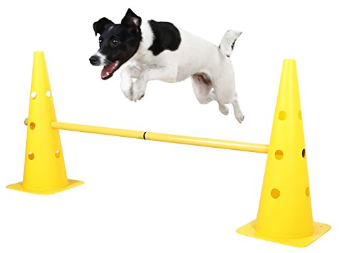 kerbl-81994-agility-lot-c-nes-et-barres-d-obstacle-pour-chien image 8