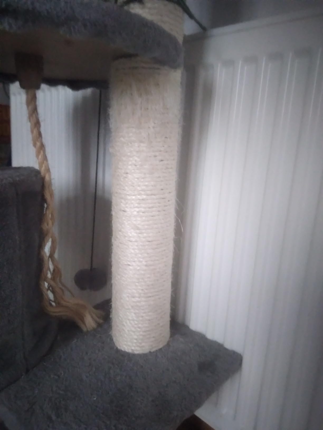 A sauvé notre arbre à chat