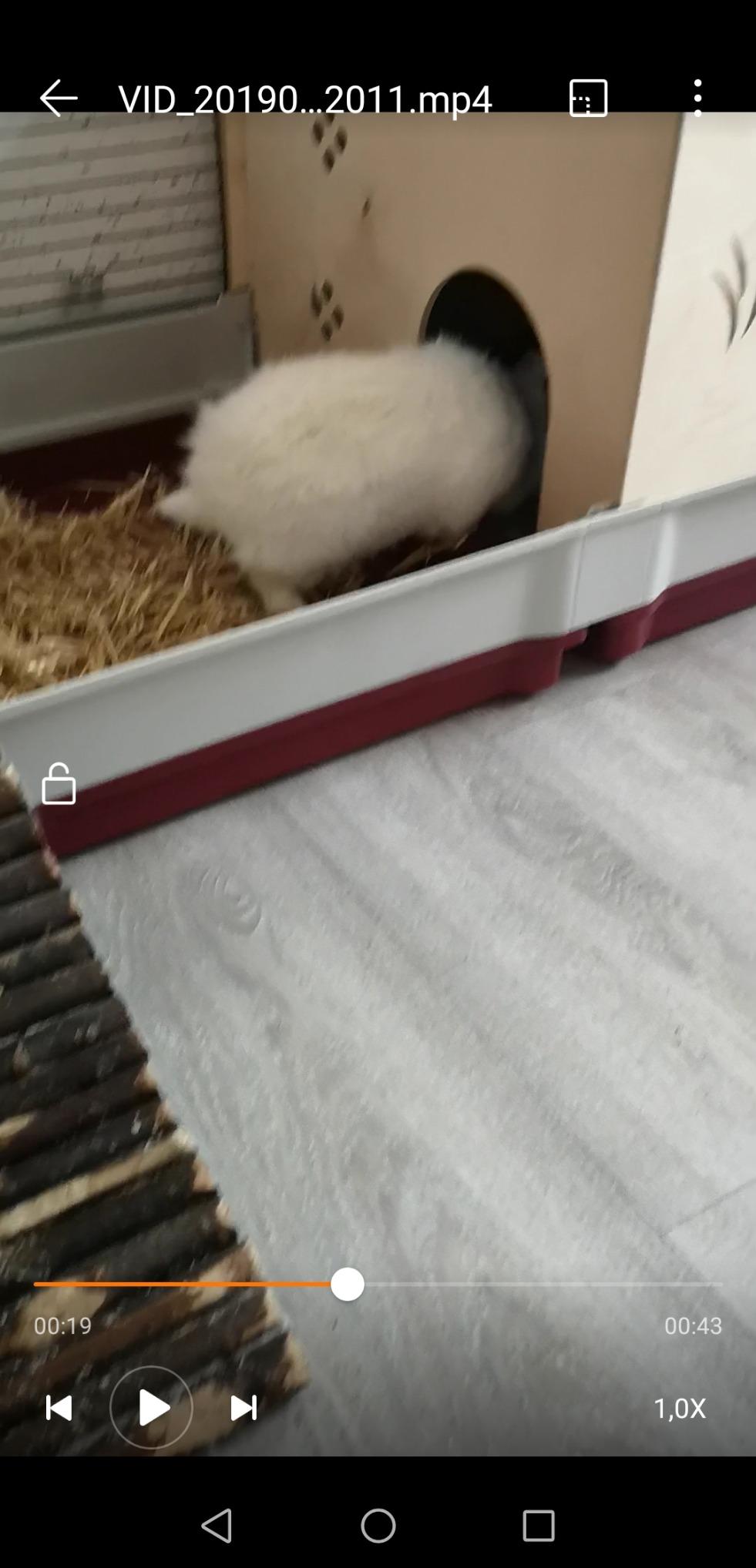 Idéale pour lapin
