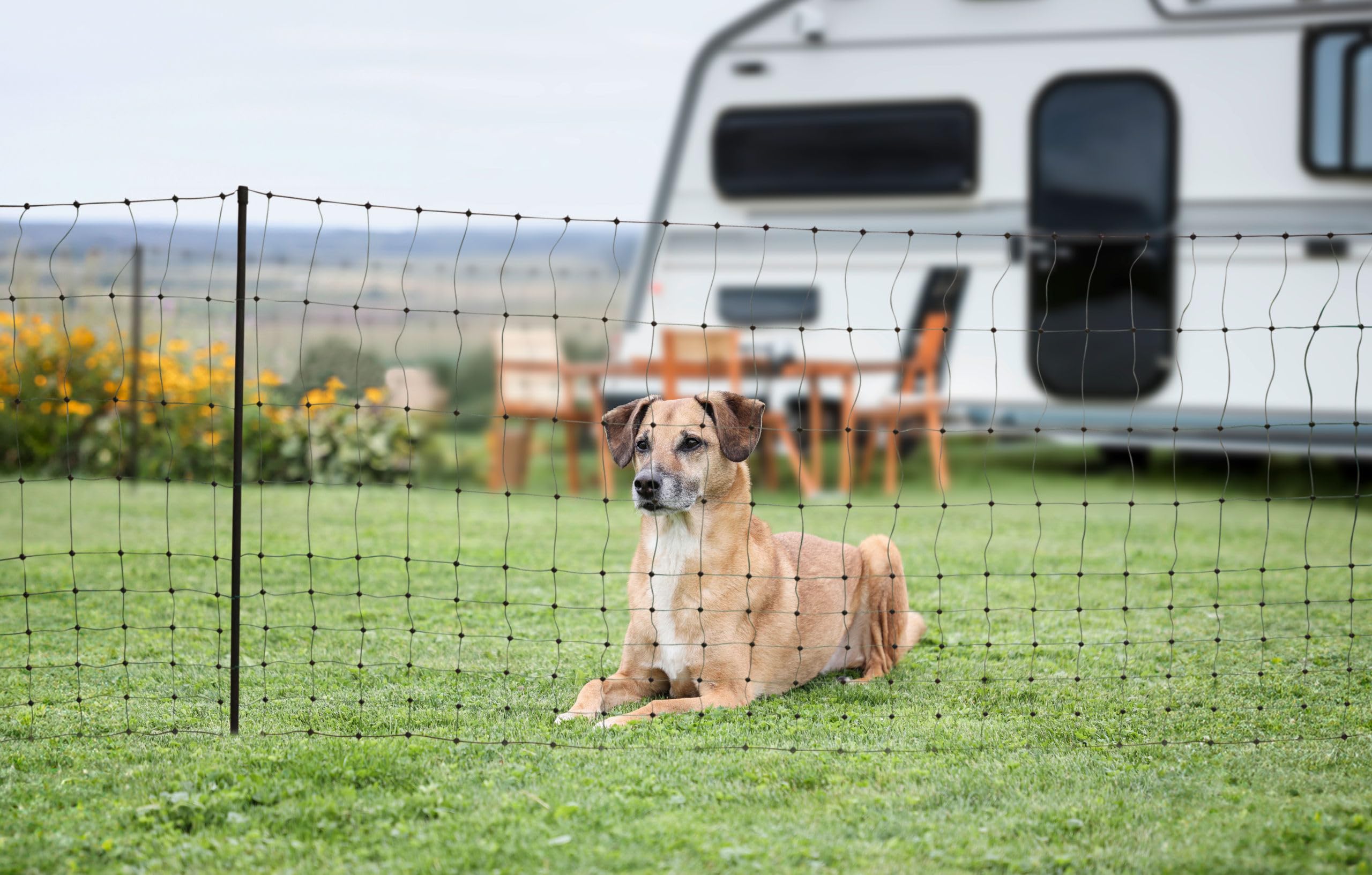 kerbl-pet-campingnet-filet-80-cm-x-20-m-double-pointe image 4