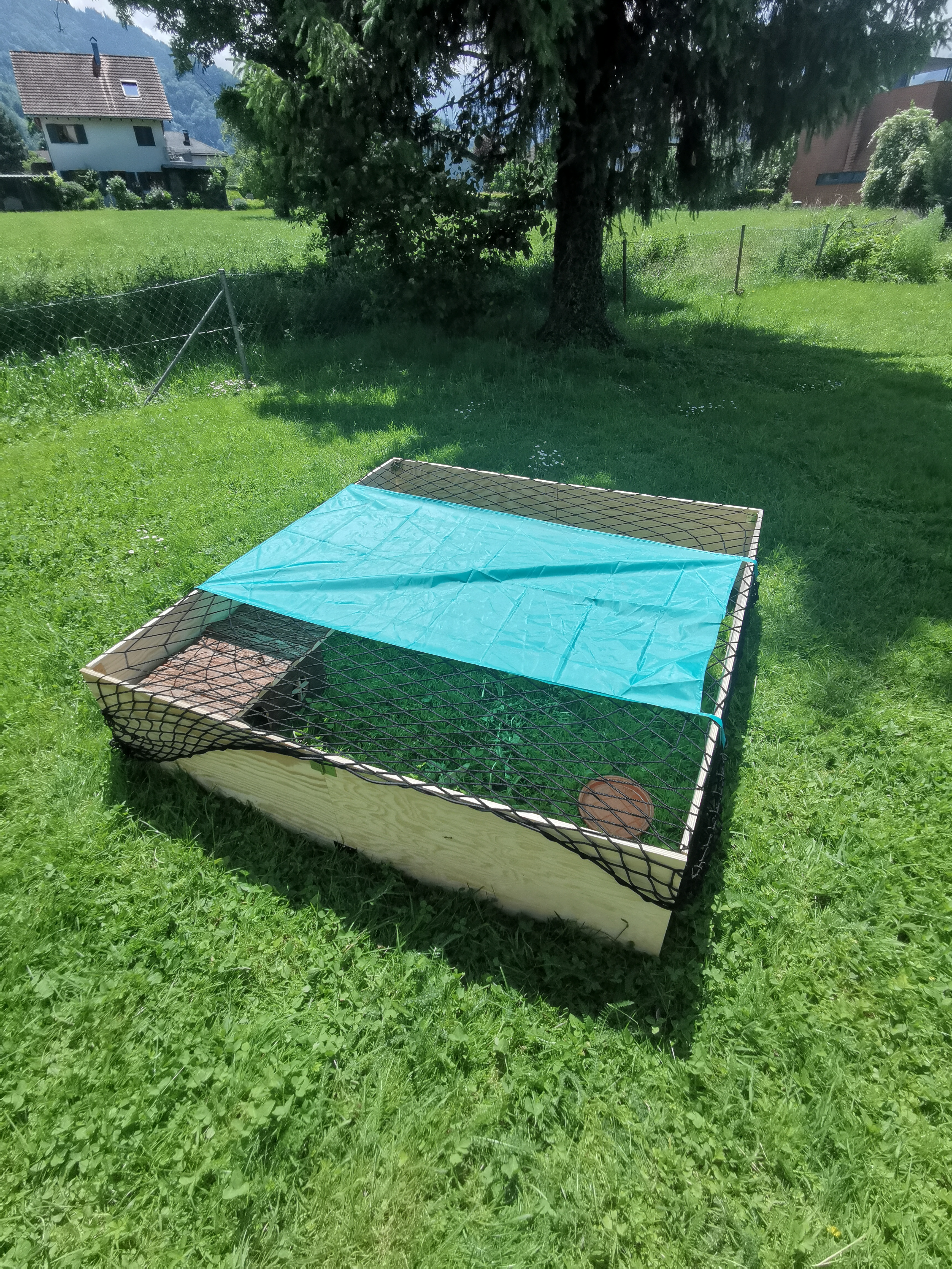Parfait pour l'été