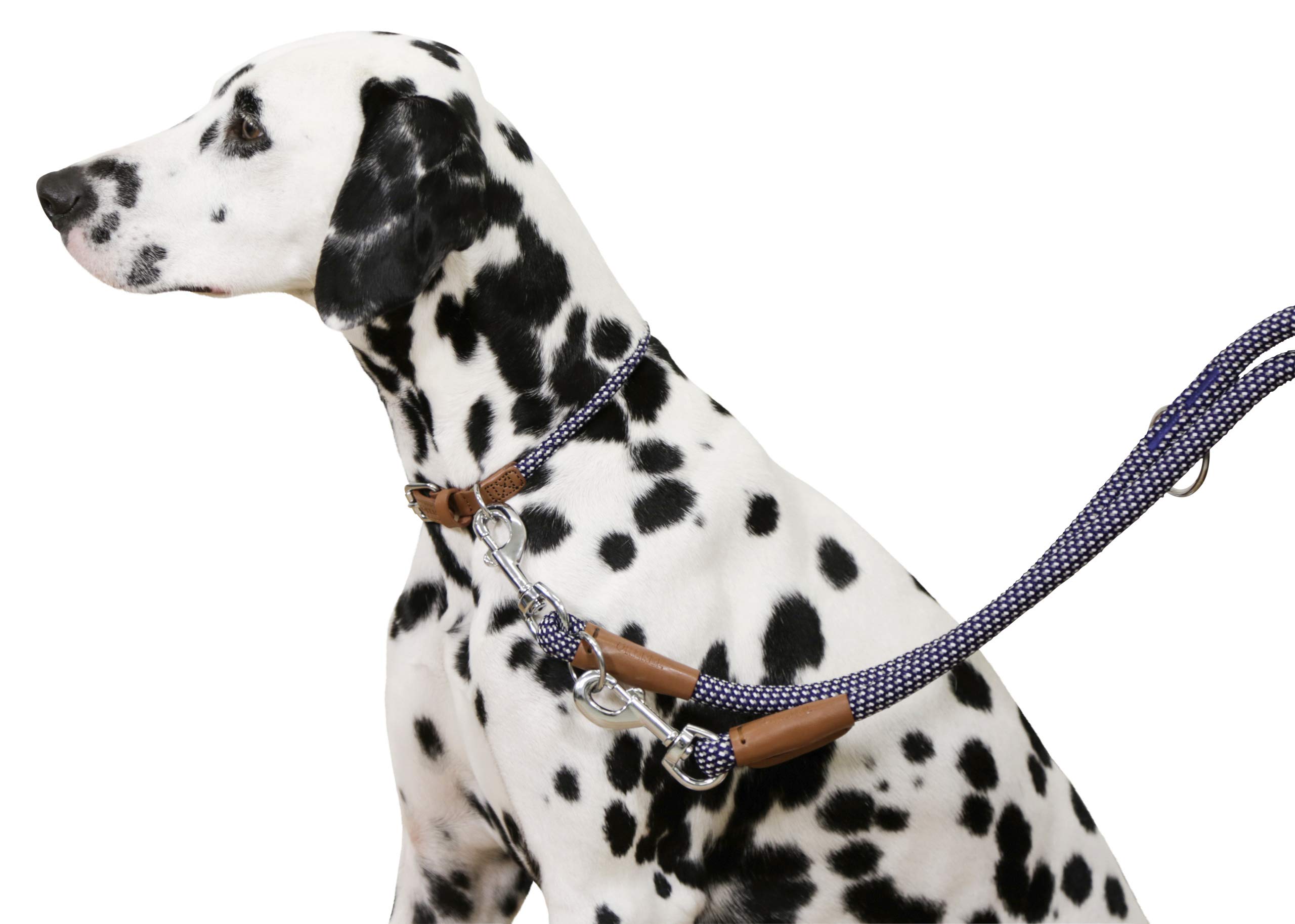 kerbl-phoenix-collier-rond-pour-chien-bleu-30-40cm-9mm image 4