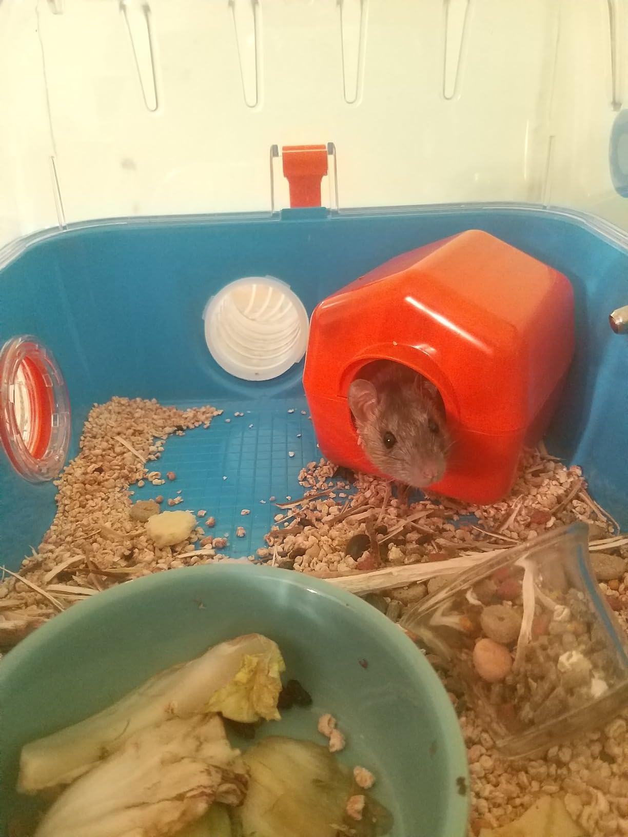 Bonne cage complète