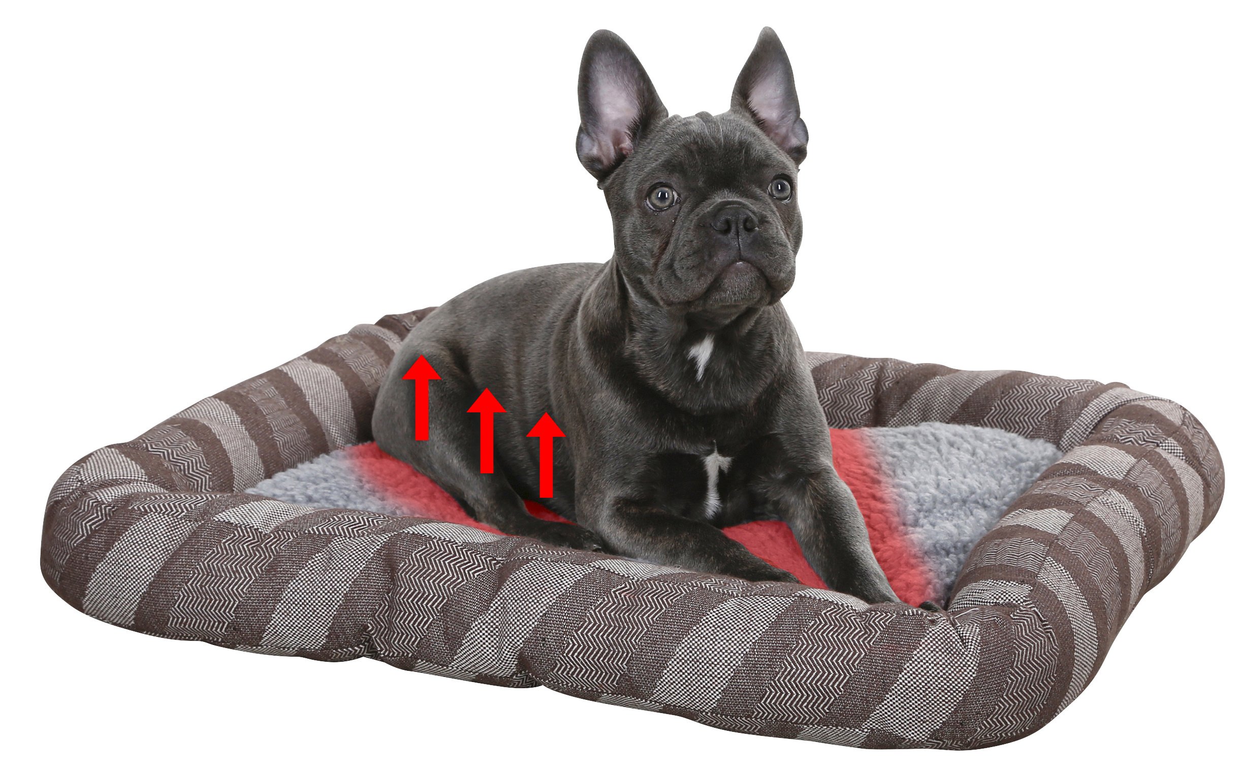 kerbl-pablo-coussin-auto-chauffant-pour-chien-100-x-65-cm image 2