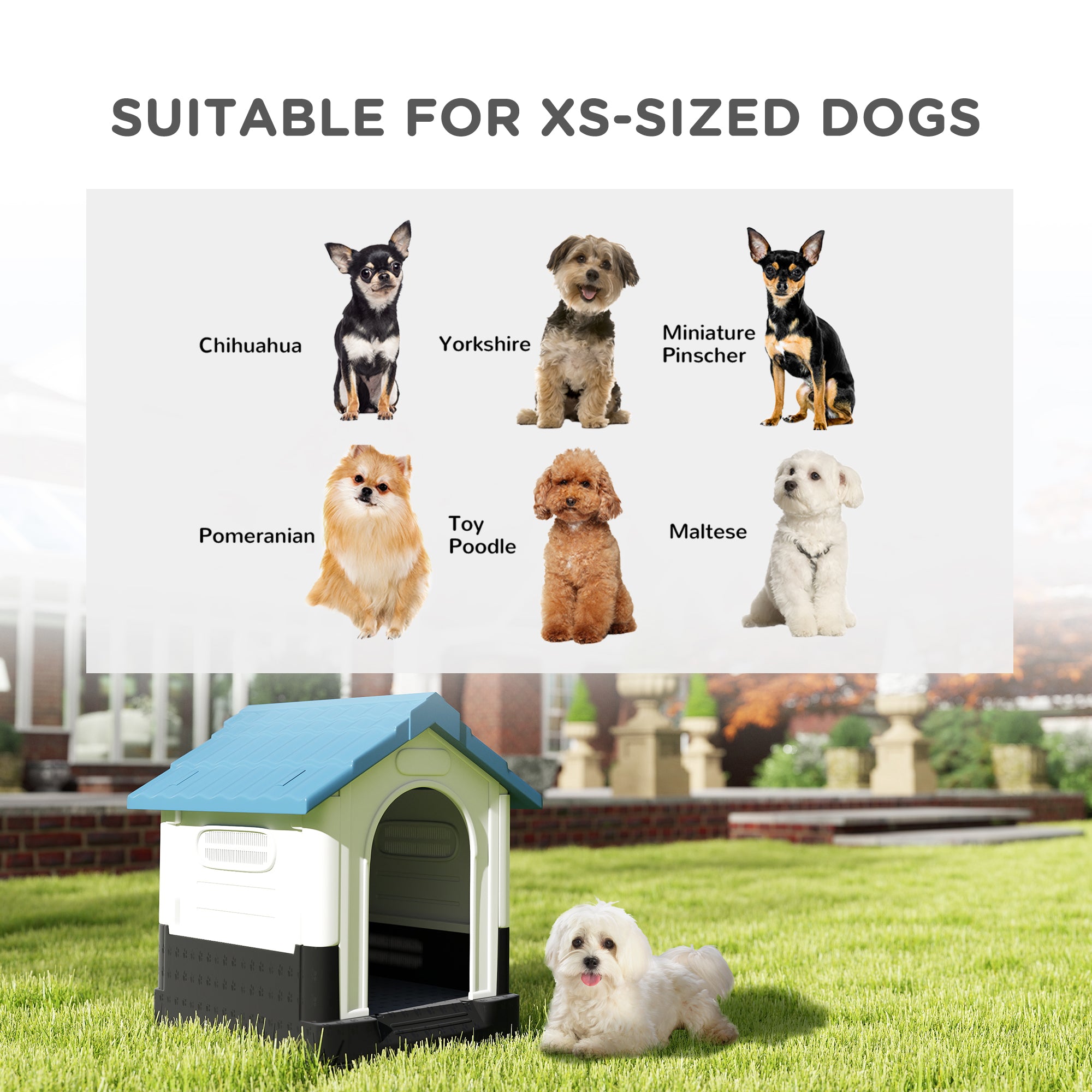 pawhut-niche-chien-plastique-ext-rieur-ventil-e-petit-chien-bleue image 6