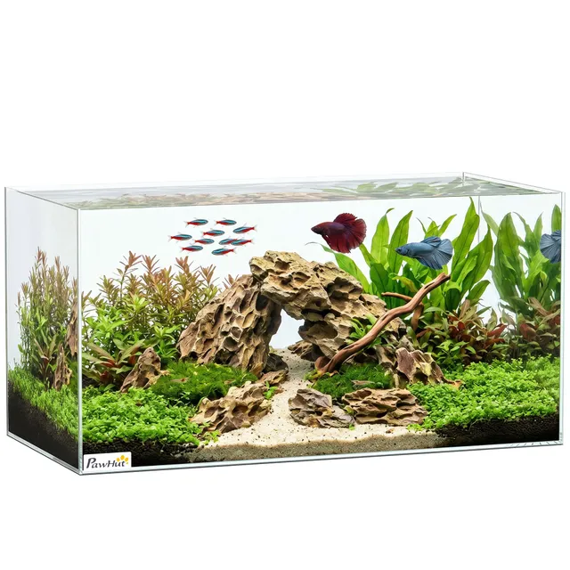 pawhut-aquarium-verre-51l-60-x-30-x-30-cm-pour-poissons-crevettes-tortues image 1