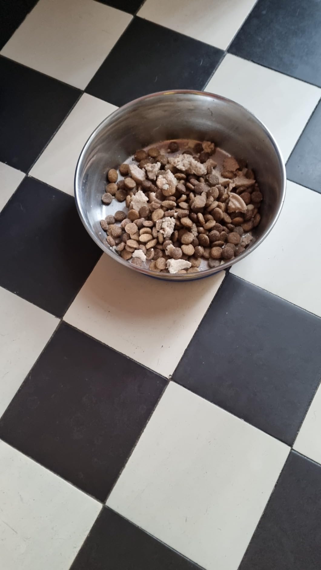 Parfaite pour mon chat