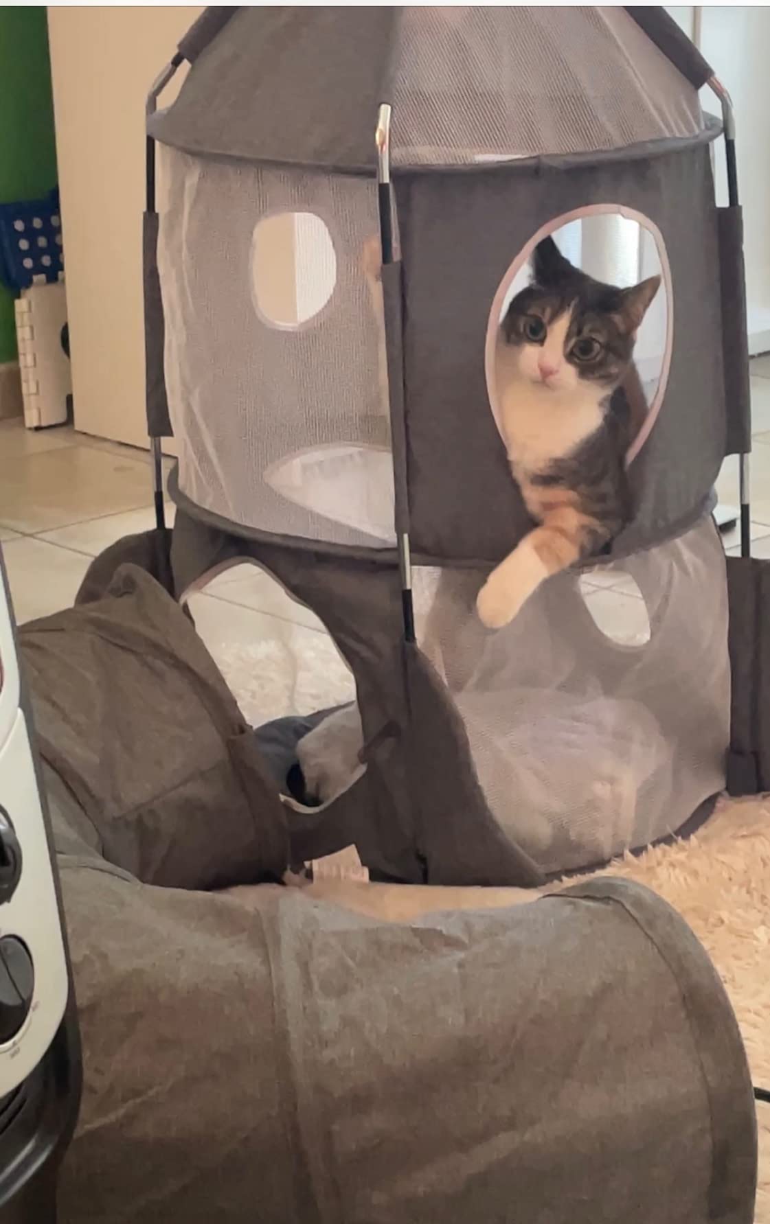 Joli meuble pour chat