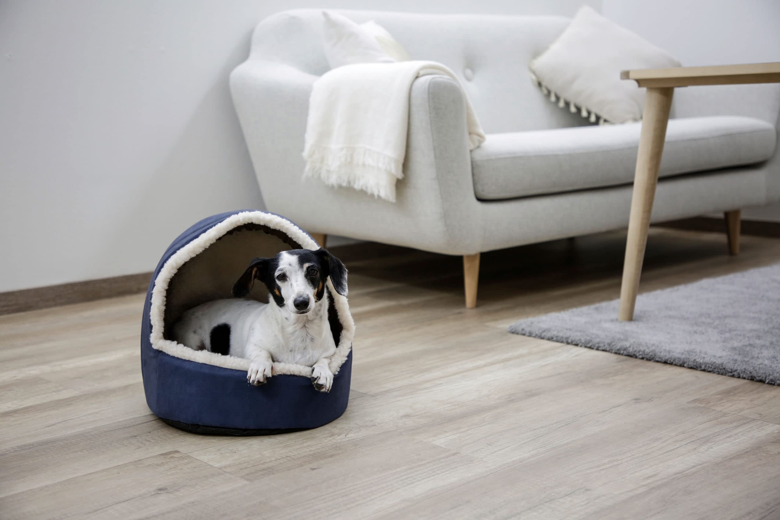 kerbl-pet-igloo-angi-bleu-35x33x32-cm-niche-d-int-rieur-pour-petits-animaux image 5