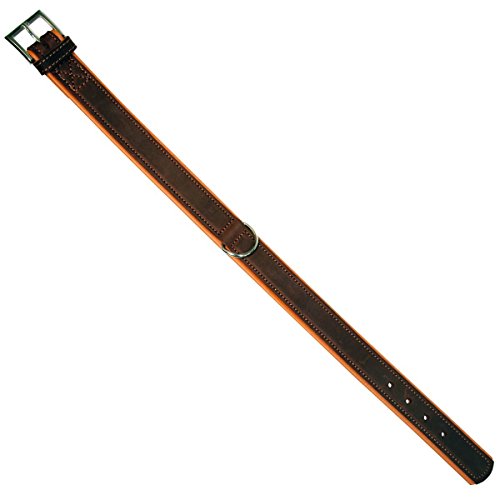 kerbl-vegas-collier-cuir-noir-pour-chien-50-58cm-x-35mm image 5