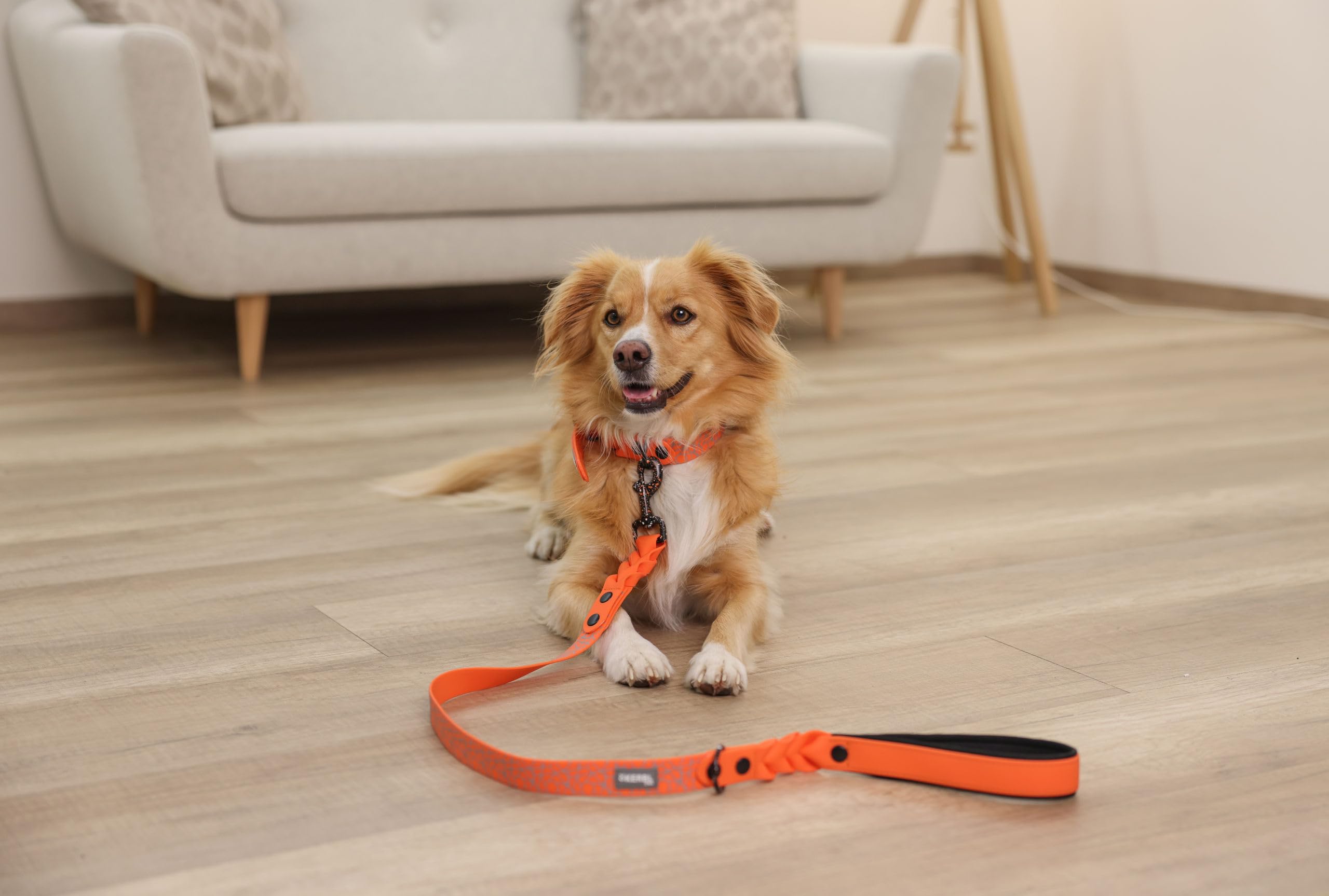 kerbl-puno-laisse-chien-orange-25-mm-x-100-cm image 7