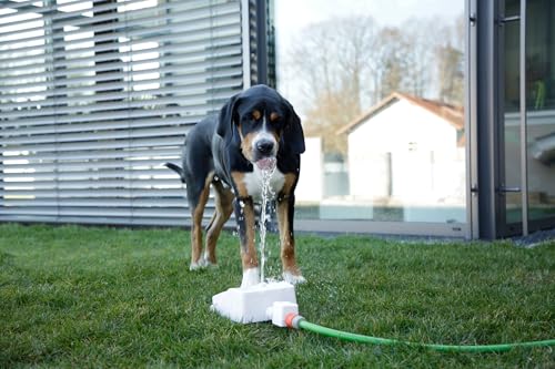 kerbl-pet-fontaine-eau-bubble-25-5-x-18-x-8-cm-blanc-bleu-jet-p-dale-pour-chien image 8