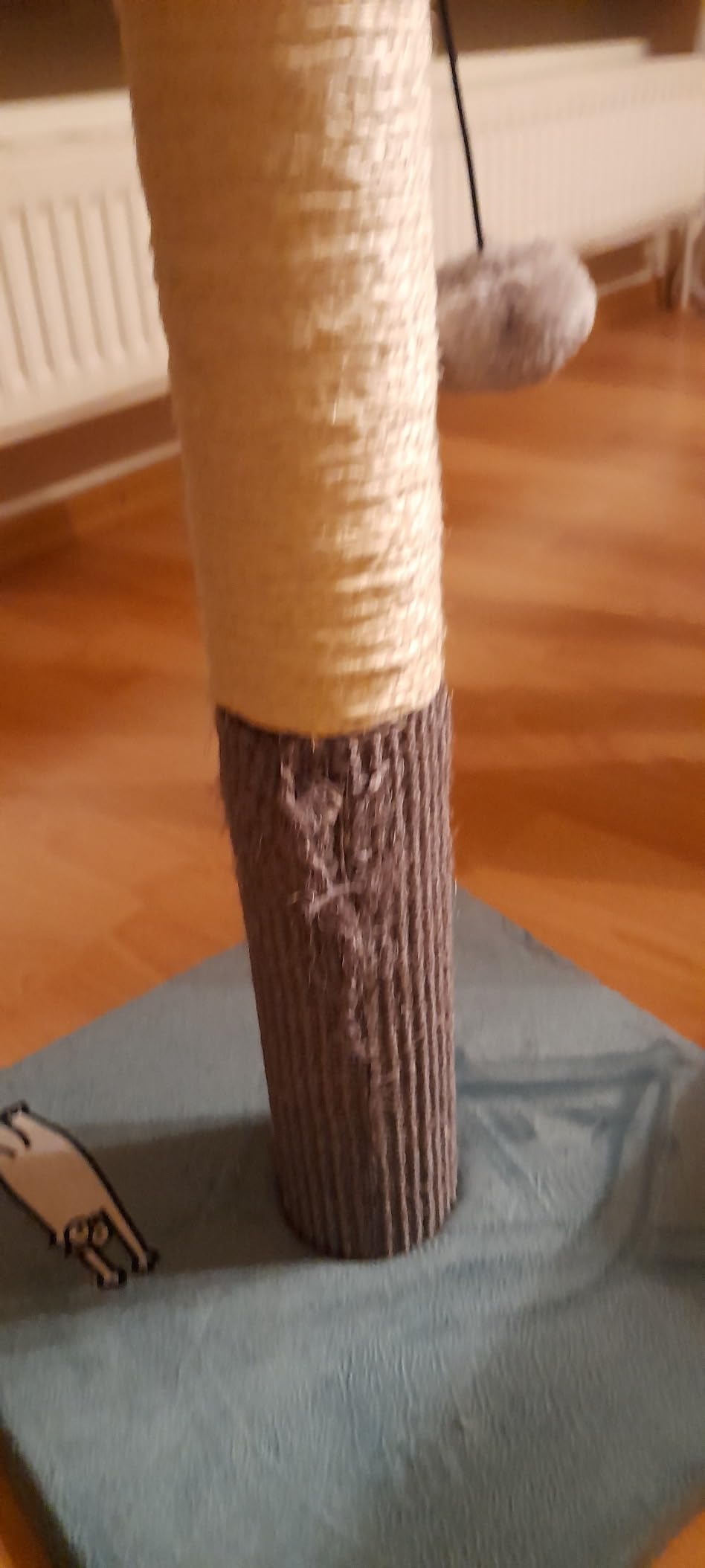 Fini les griffes sur fauteuil