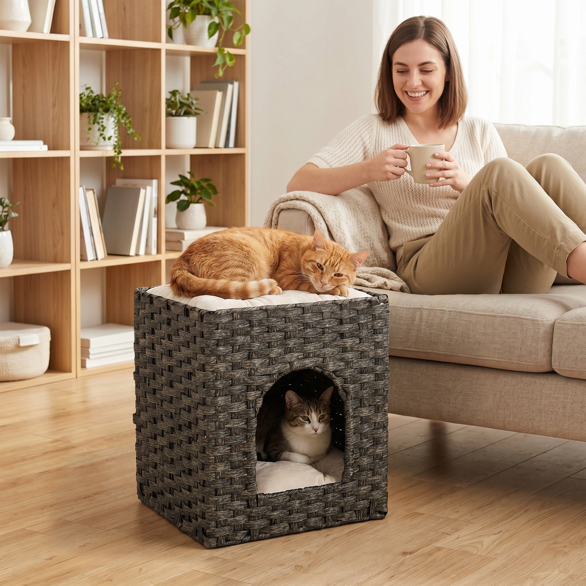 pawhut-maison-pour-chat-rotin-2-niveaux-43x40x49-cm-avec-coussins-grise image 3
