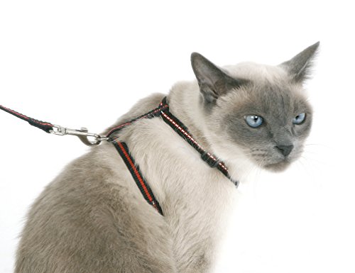 kerbl-pet-kit-pour-chat-harnais-laisse-120cm-collier-en-nylon image 5