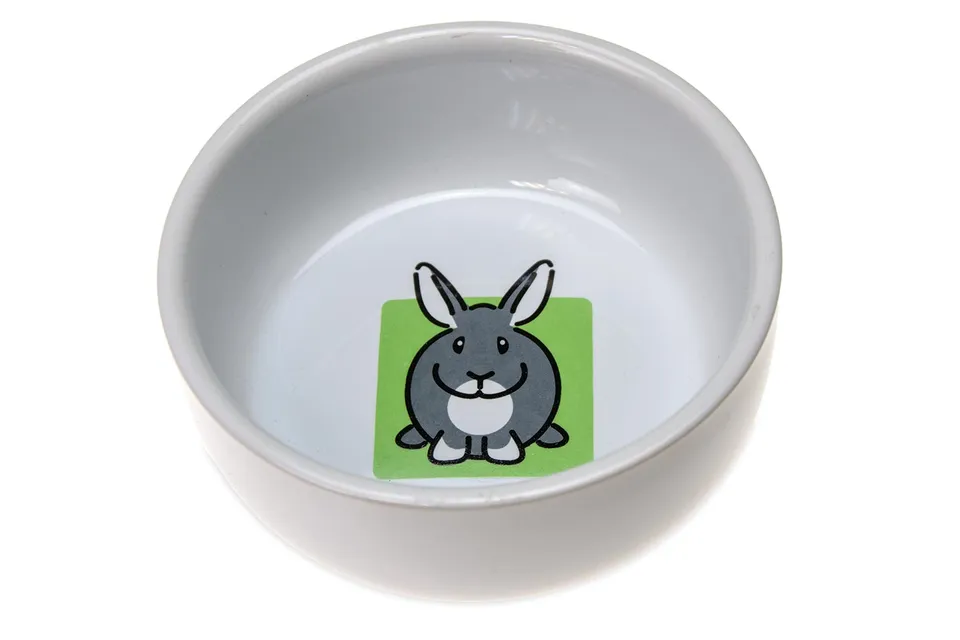 karlie-plat-en-c-ramique-pour-rongeurs-11-cm-300-ml image 1