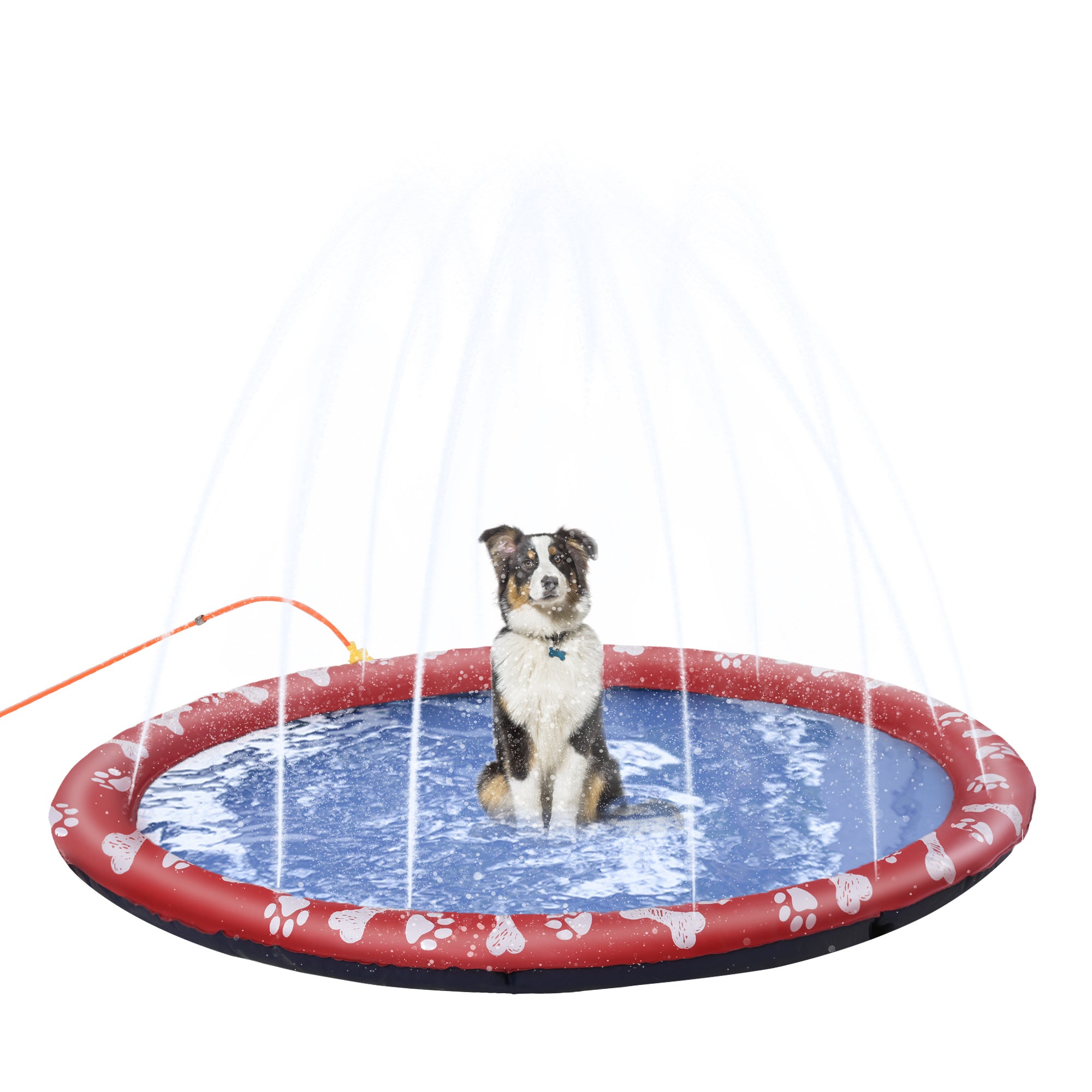 pawhut-tapis-piscine-splash-pad-chien-pliable-170-cm-avec-sprinkler-bleu-c-rul-e image 2