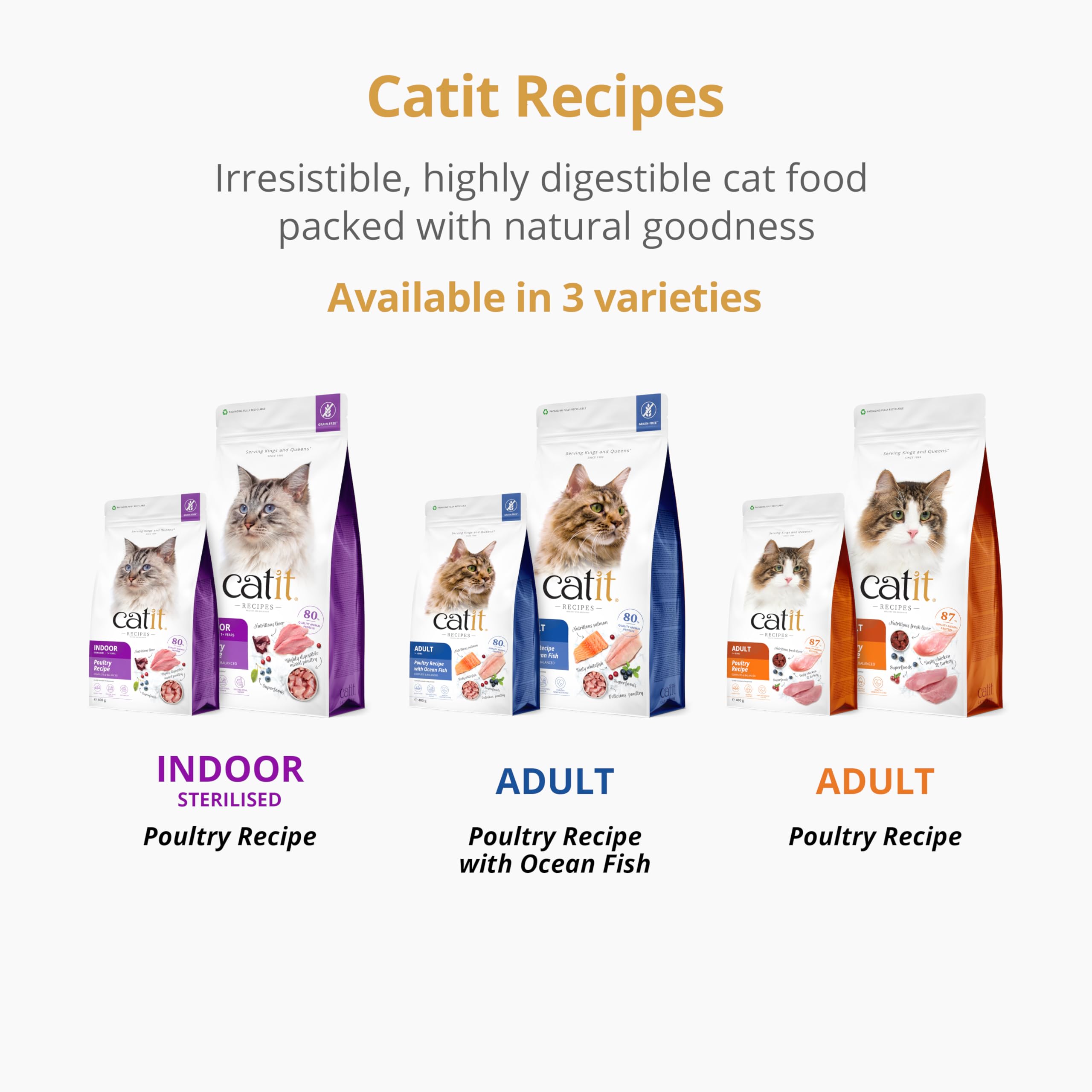 catit-recipes-adulte-poisson-de-mer-2-kg-croquettes-sans-c-r-ales-pour-chat image 8