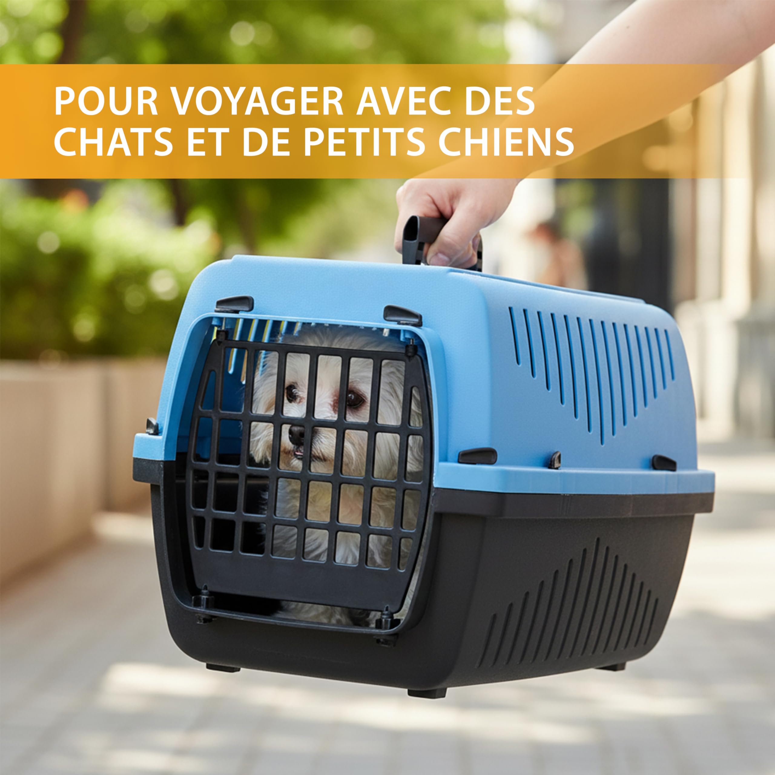 ferplast-skipper-1-caisse-de-transport-rigide-48x32xh31-cm-bleu-max-5-kg image 4