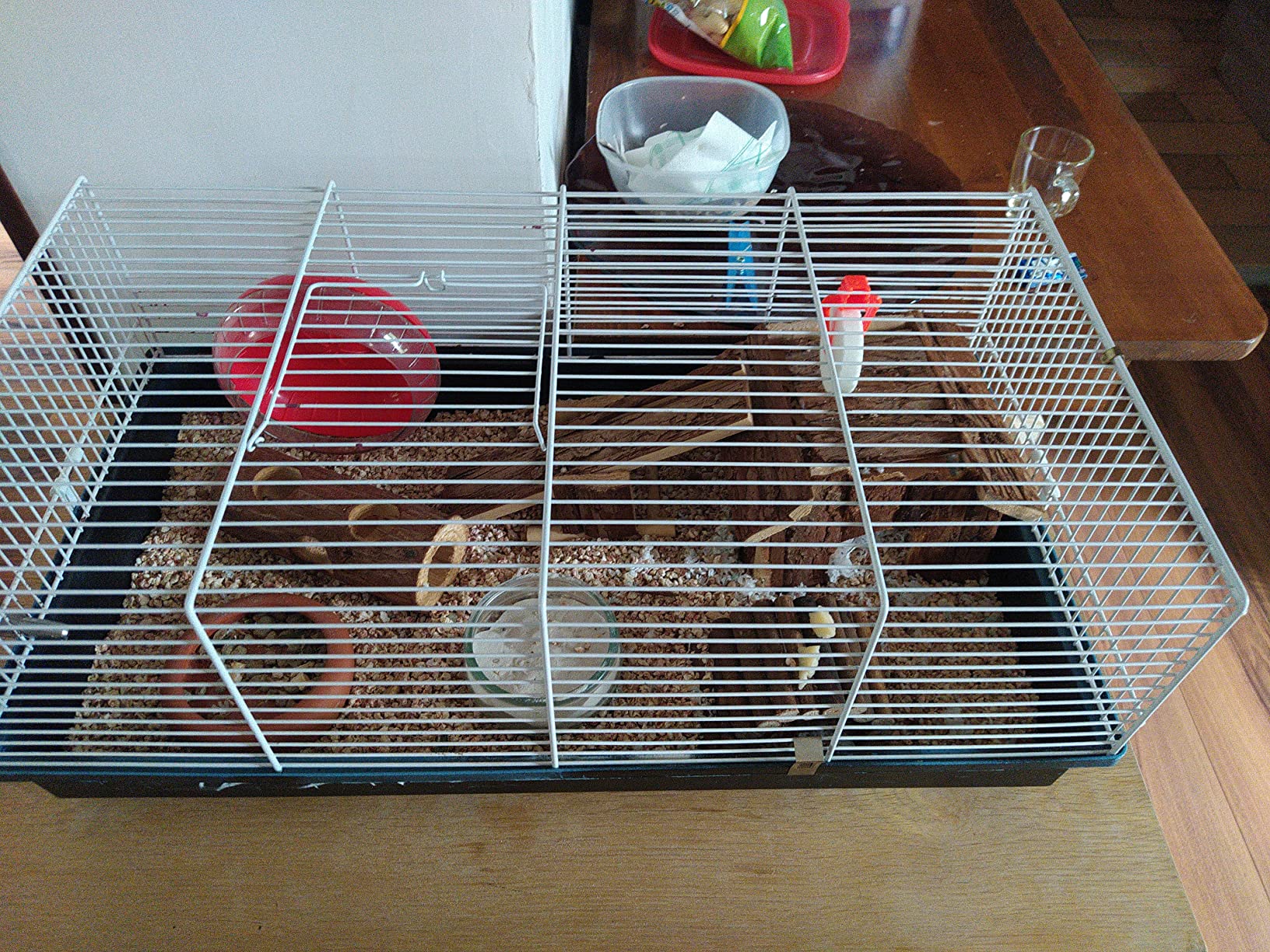 Hamster heureux