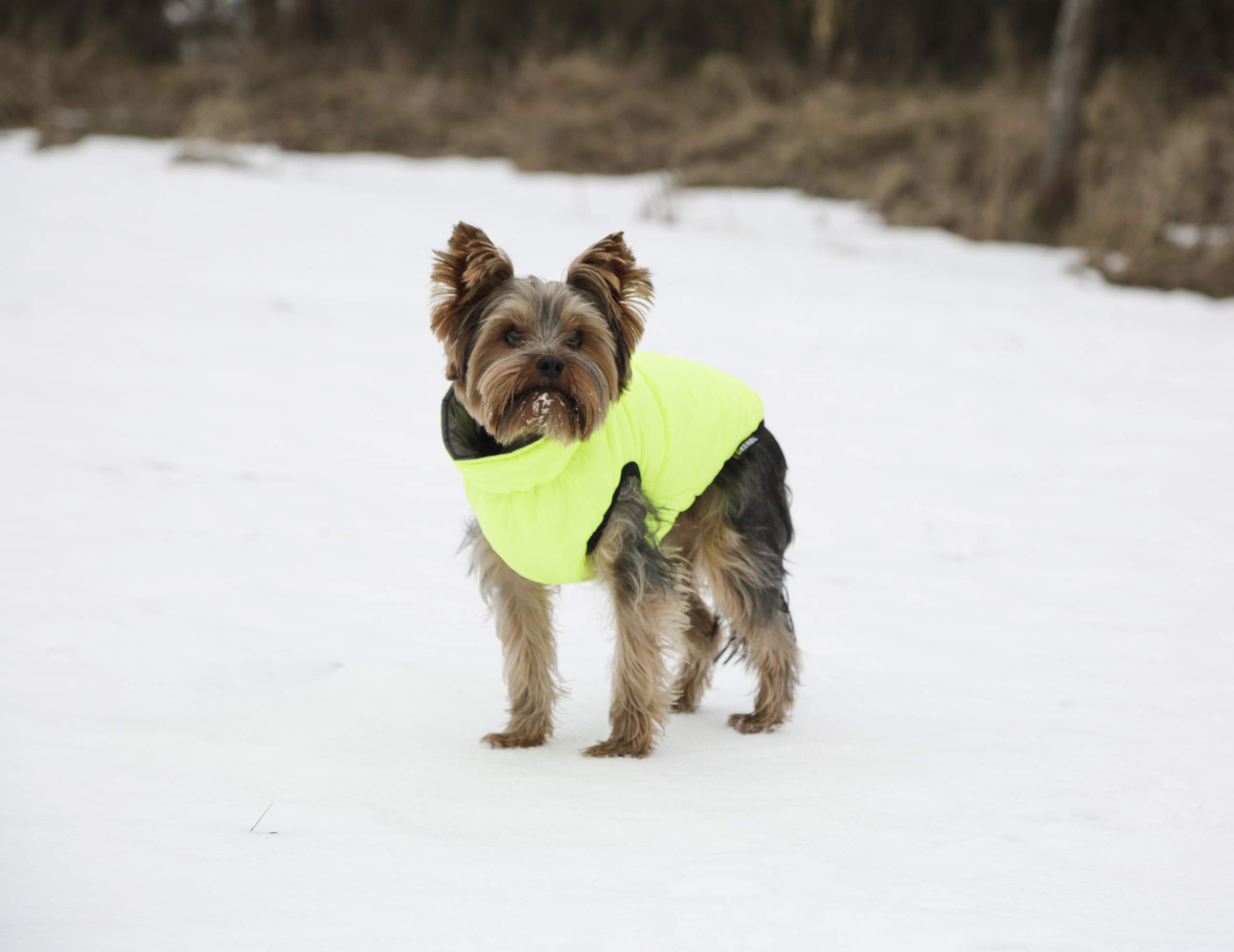 kerbl-pet-manteau-matelass-charmonix-gris-jaune-taille-l-45-cm image 6