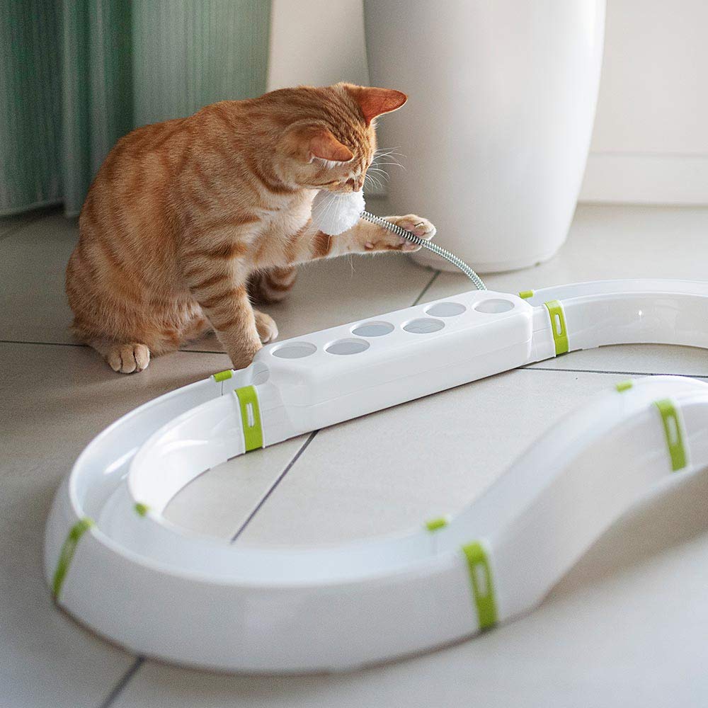 ferplast-labyrinth-circuit-jouet-interactif-pour-chat-72-x-40-cm-avec-balle-lumi image 3