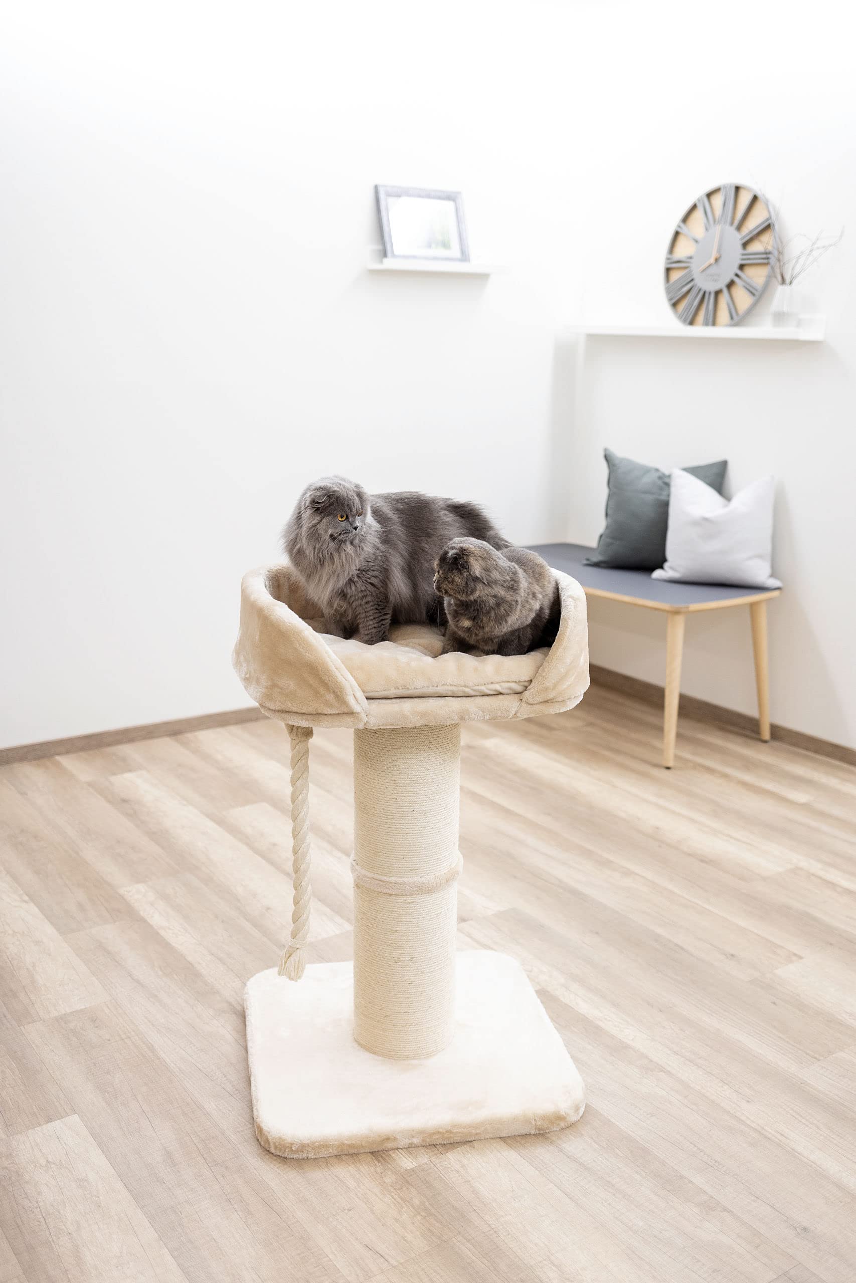 kerbl-pet-toni-xl-arbre-chat-beige-58x58x93-cm image 4