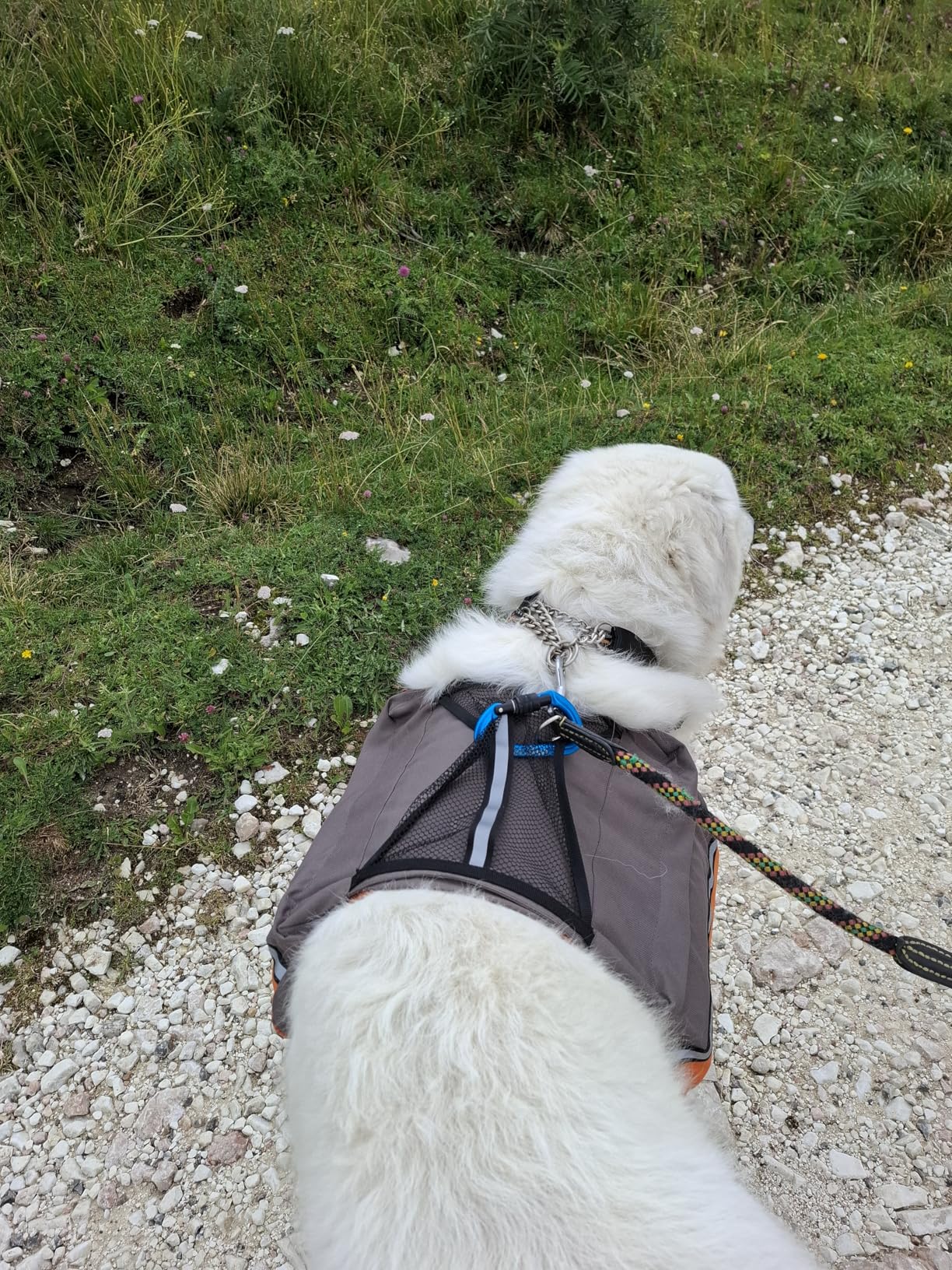 Top en rando