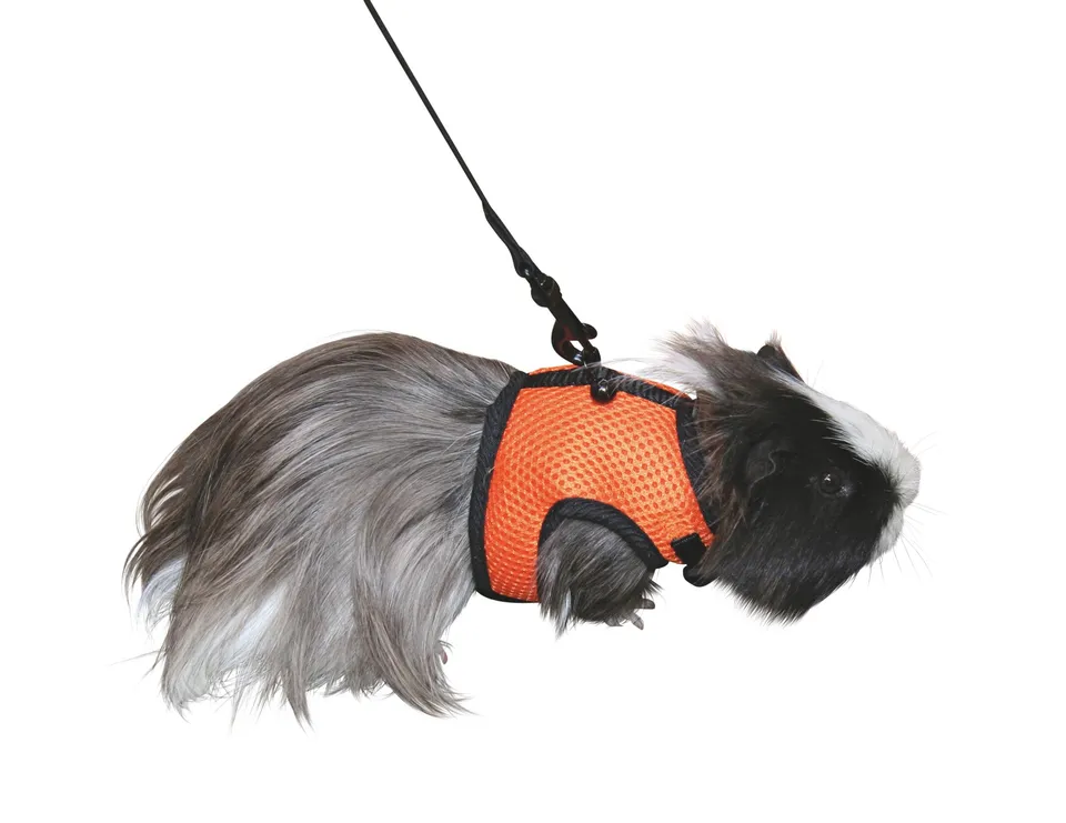 kerbl-harnais-pour-rongeurs-sport-22-30-cm-mesh-avec-laisse-120-cm image 1