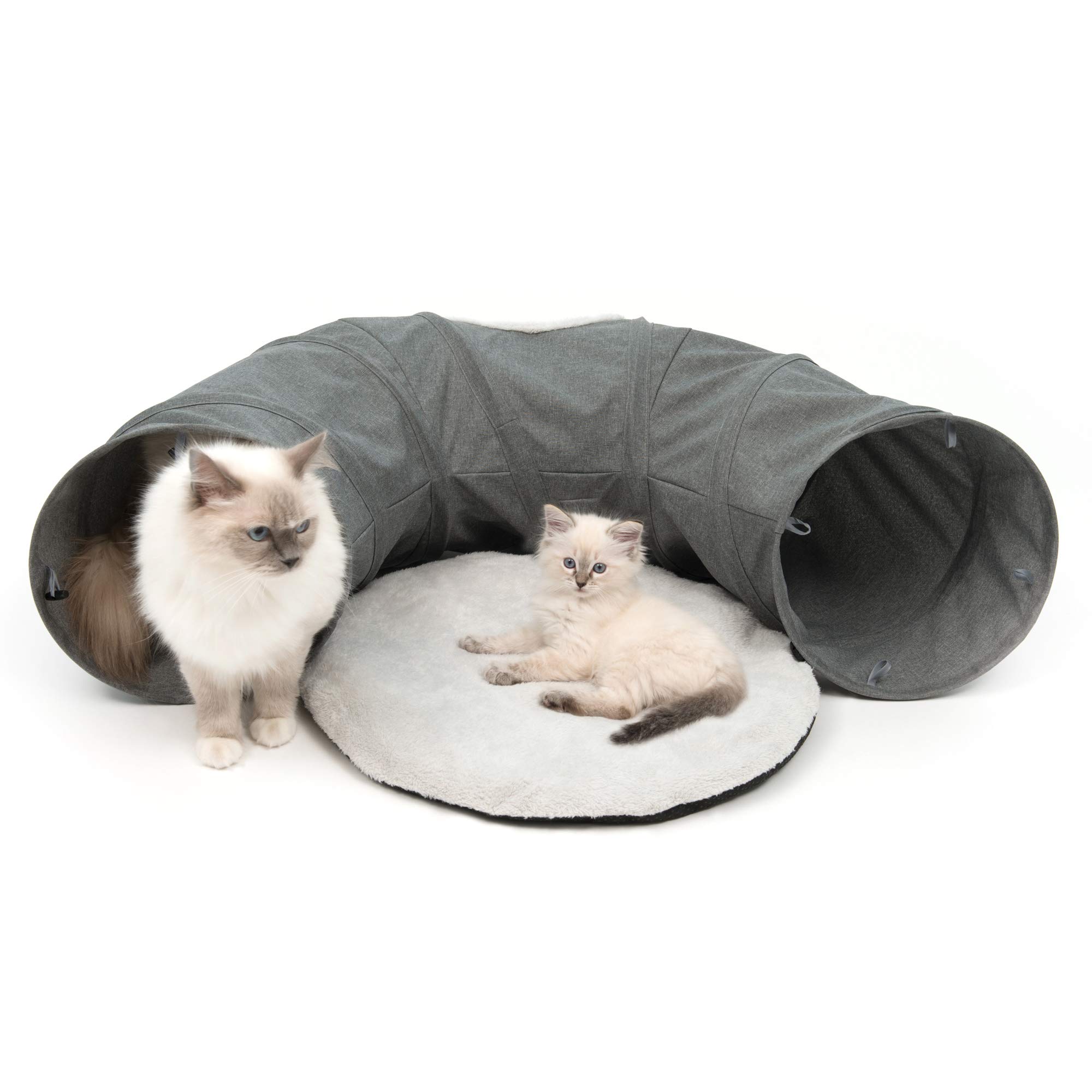 catit-vesper-tunnel-avec-lit-pour-chats-bleu-68-x-97-x-28-cm image 6