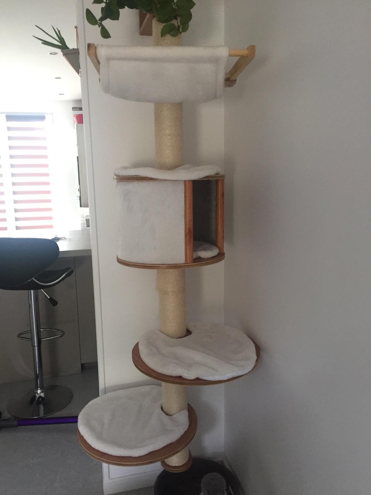 Le meilleur achat pour mes chats