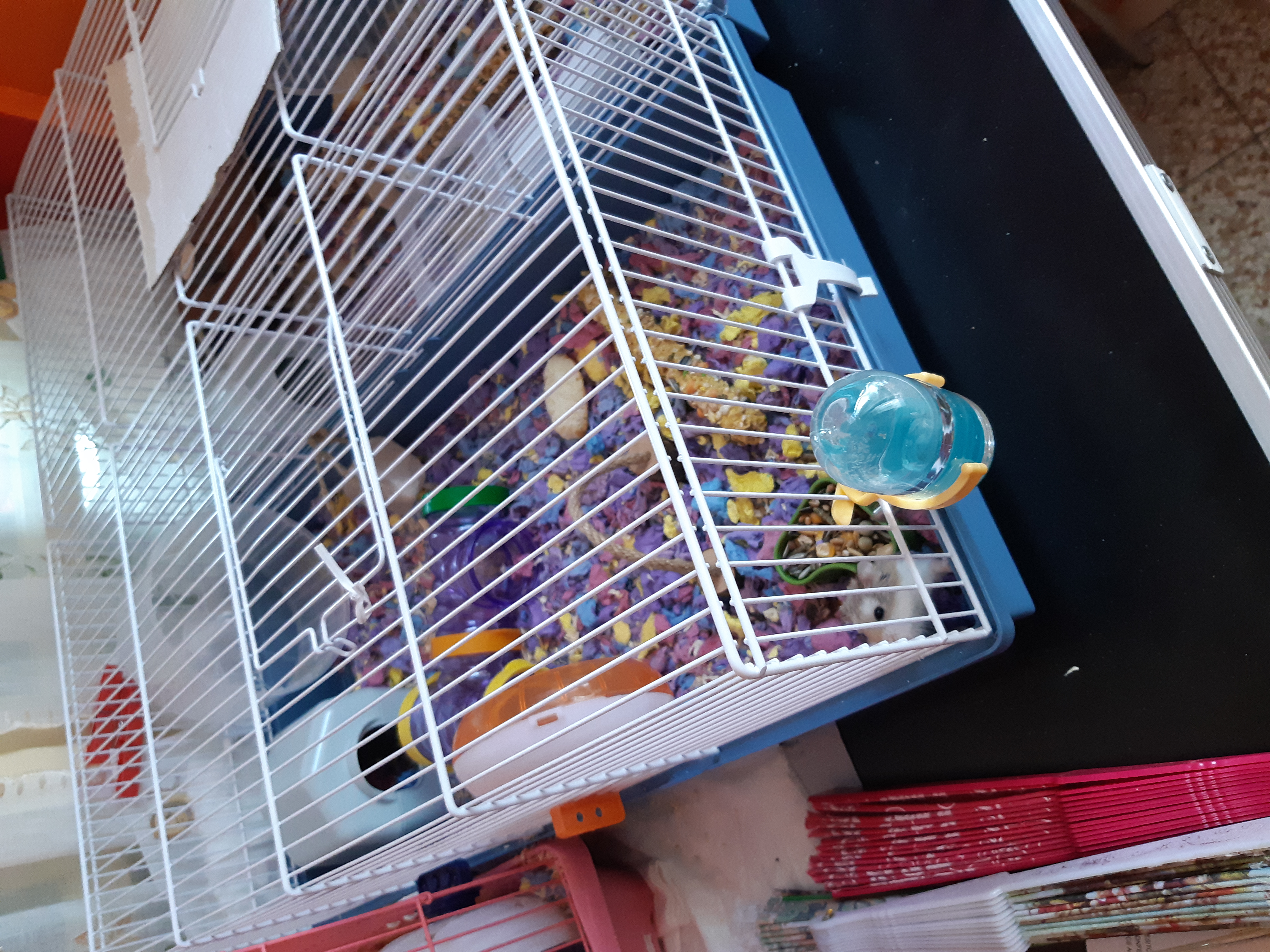 Bonne cage d'appoint
