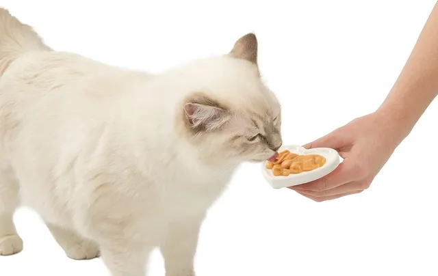 catit-creamy-snacks-cr-meux-thon-et-crabe-4-tubes-x-10-g image 1