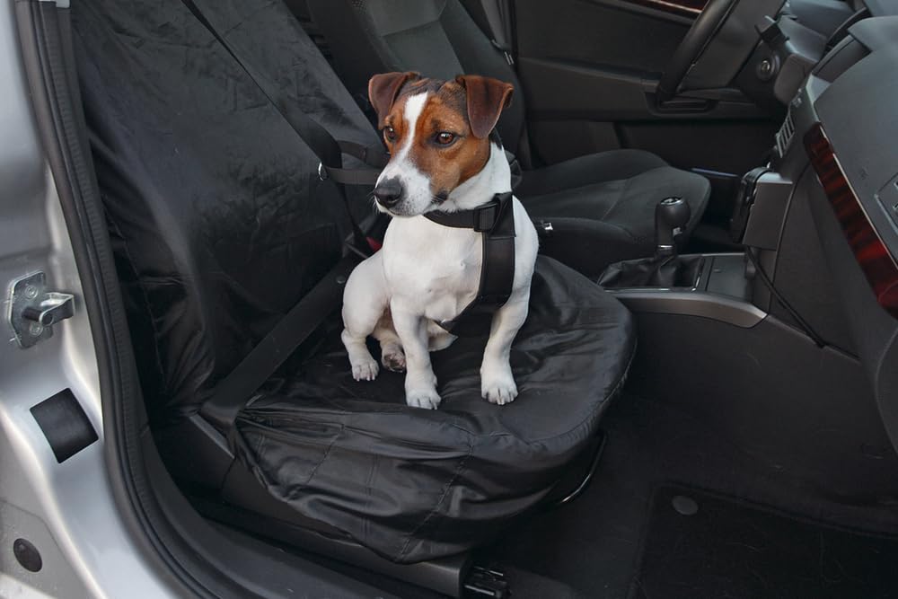 karlie-housse-si-ge-avant-voiture-70-x-130-cm-protection-polyester-imperm-able image 3