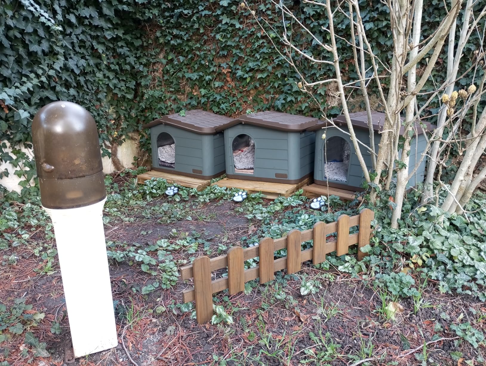 Deuxième niche achetée
